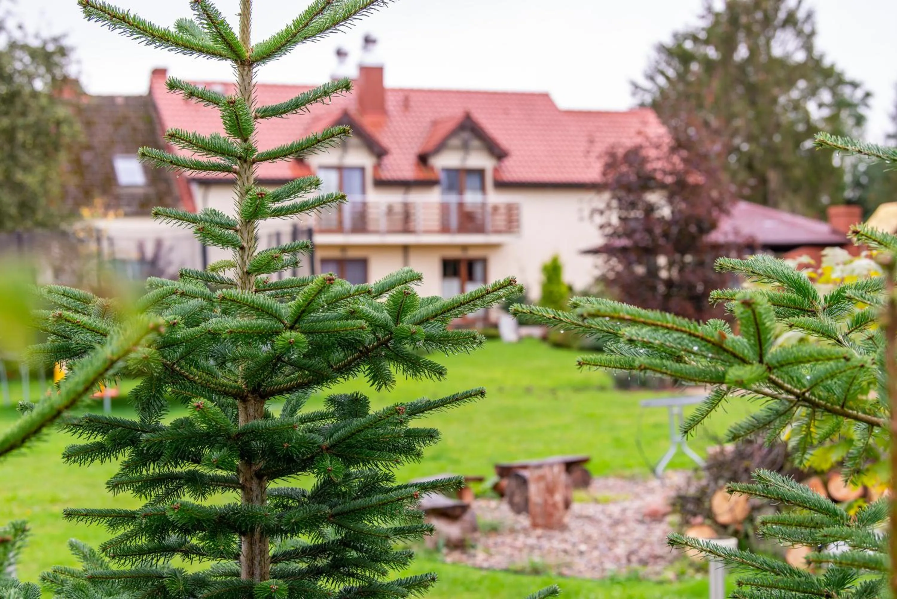 Property building in Willa Polanka