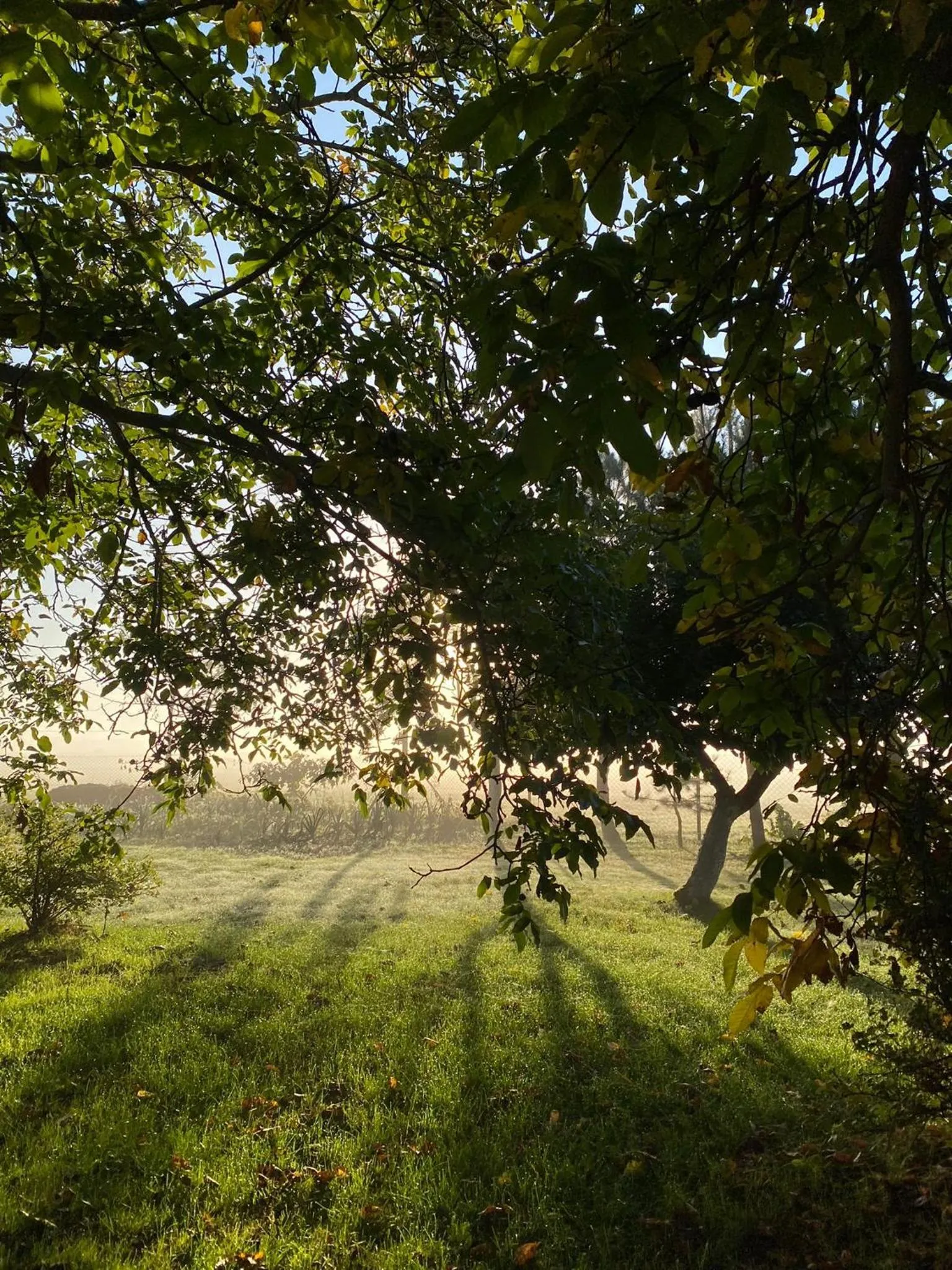 Spring in Willa Polanka