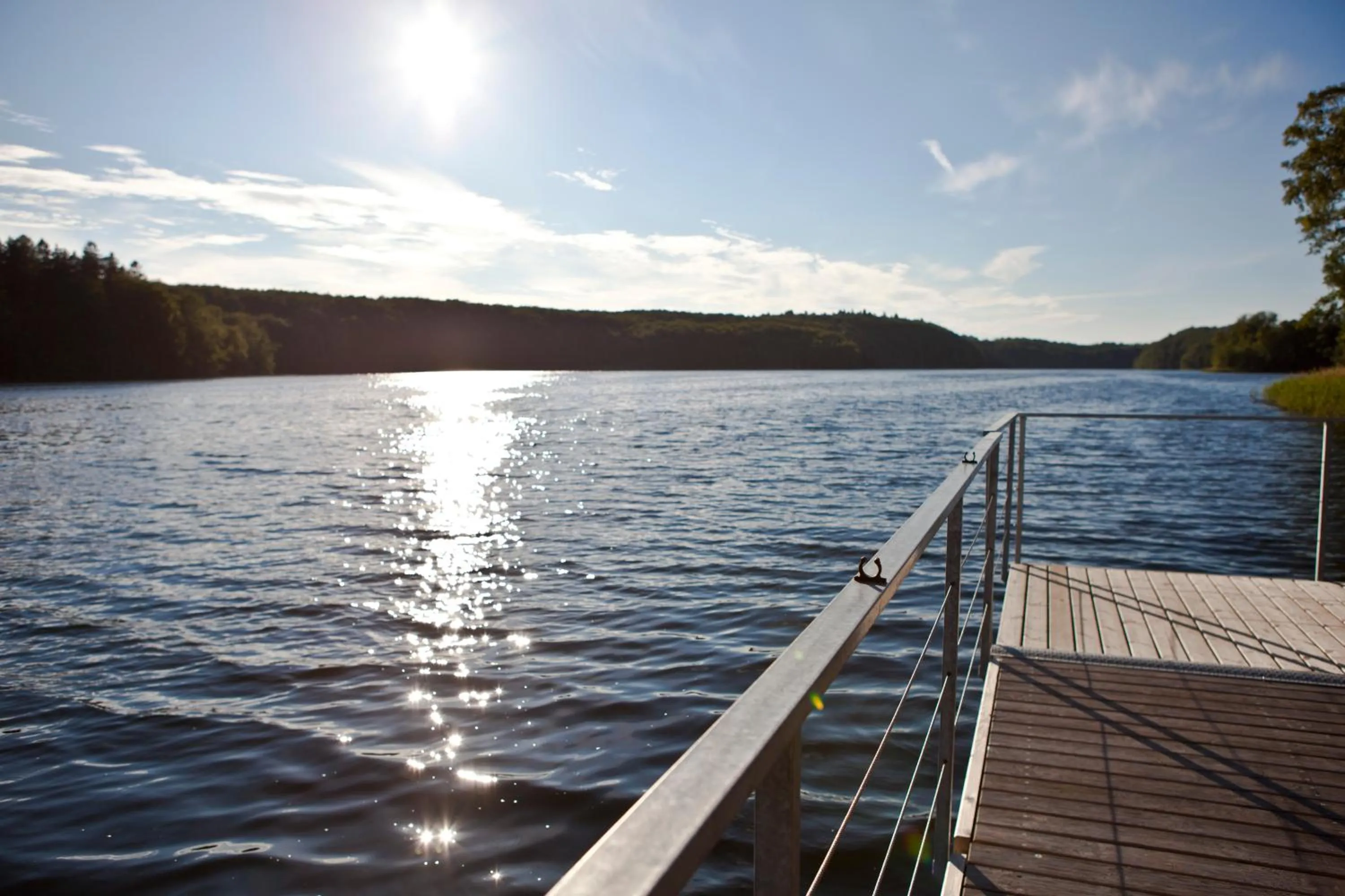 Fishing in Willa Polanka