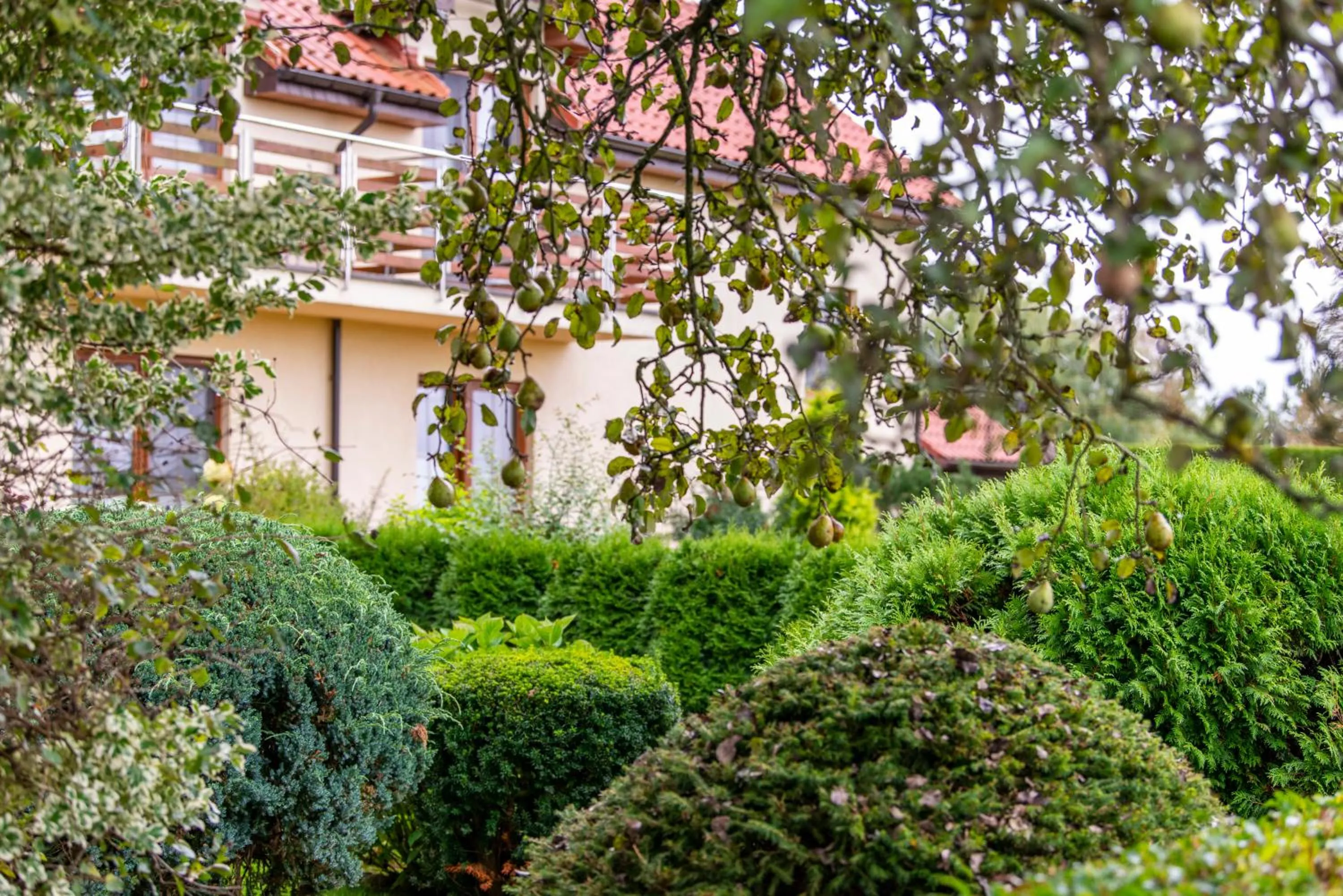Garden in Willa Polanka