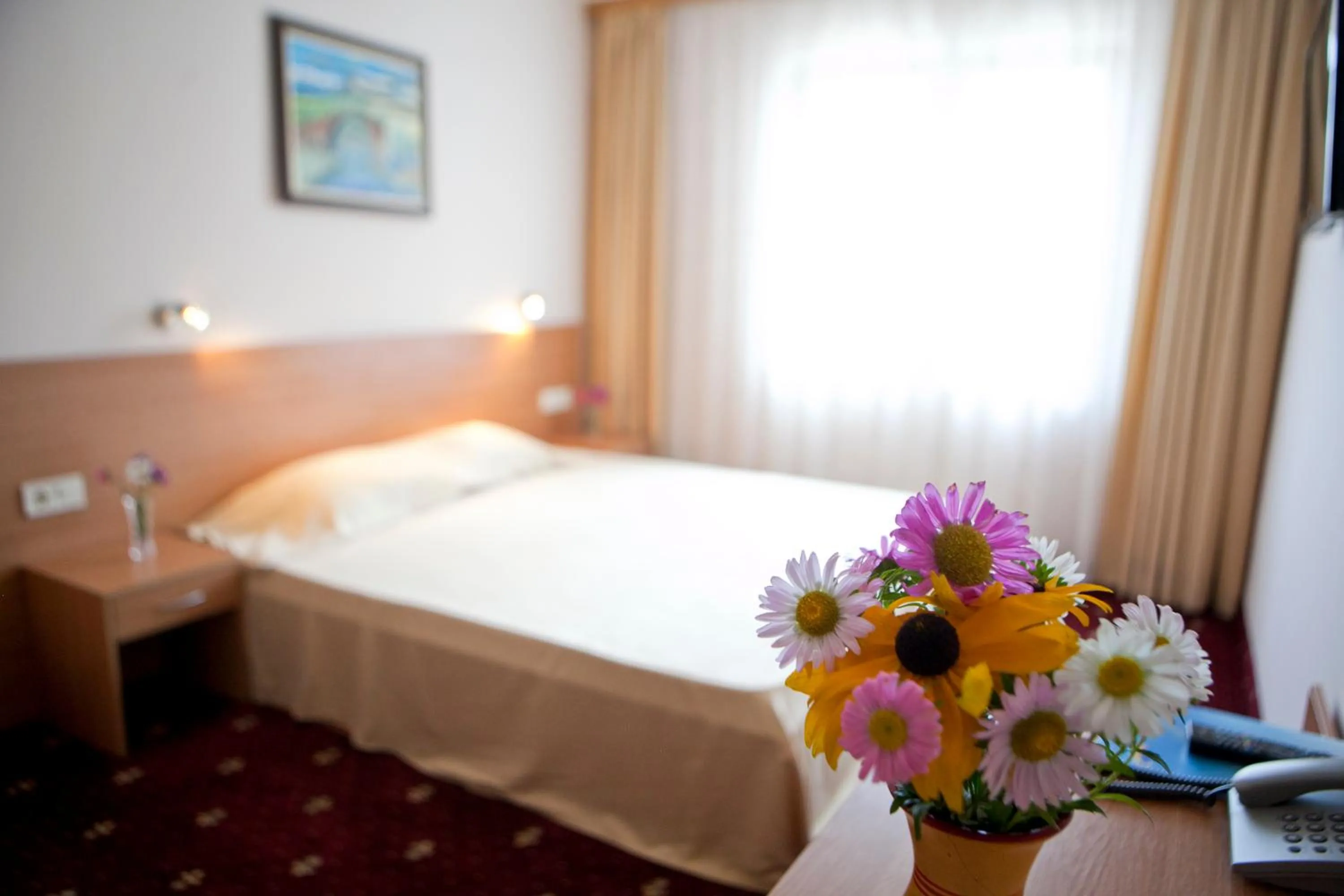 Photo of the whole room, Bed in Hotel Coop Rozhen