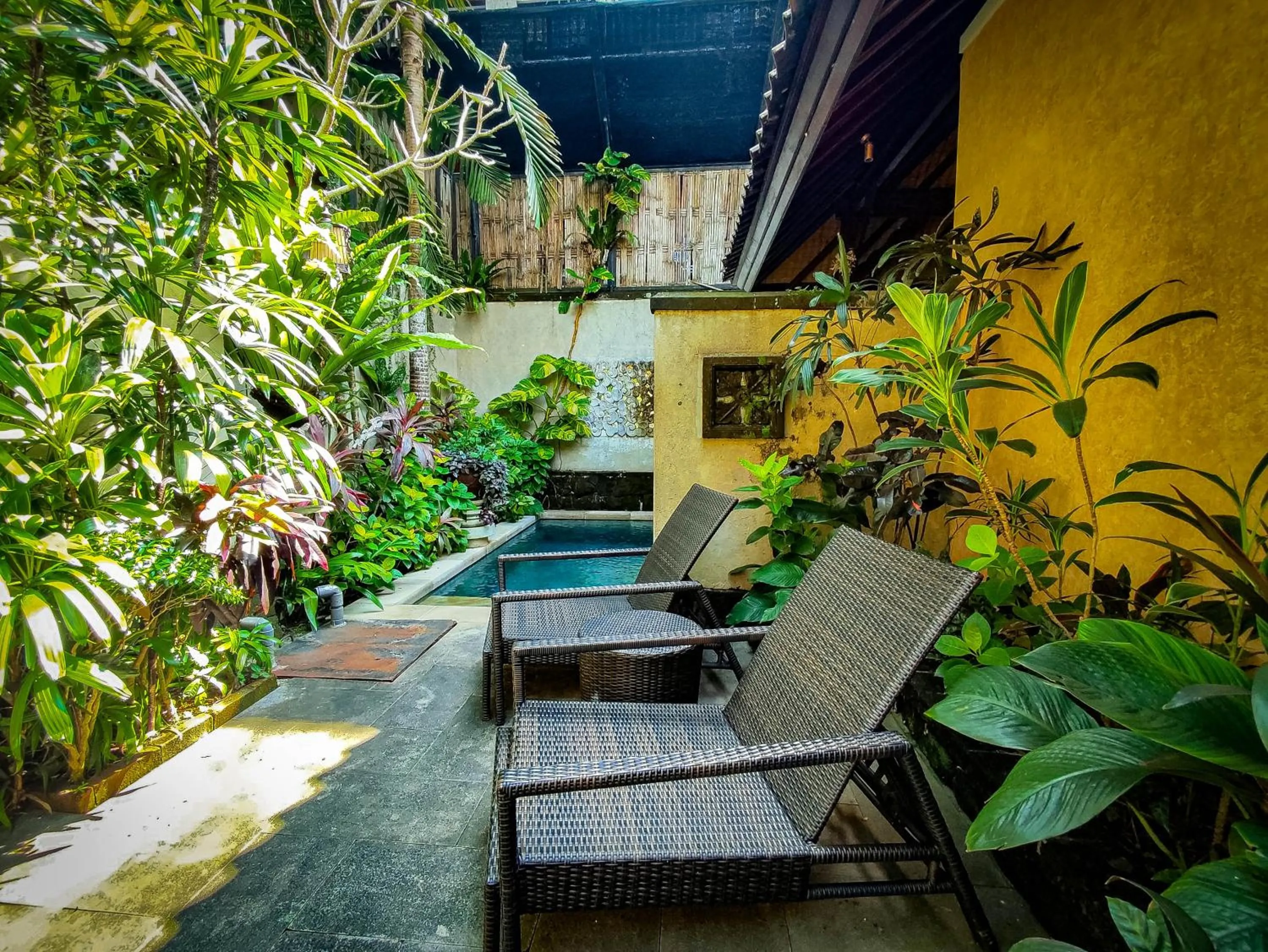 Natural landscape in Dwaraka The Royal Villas