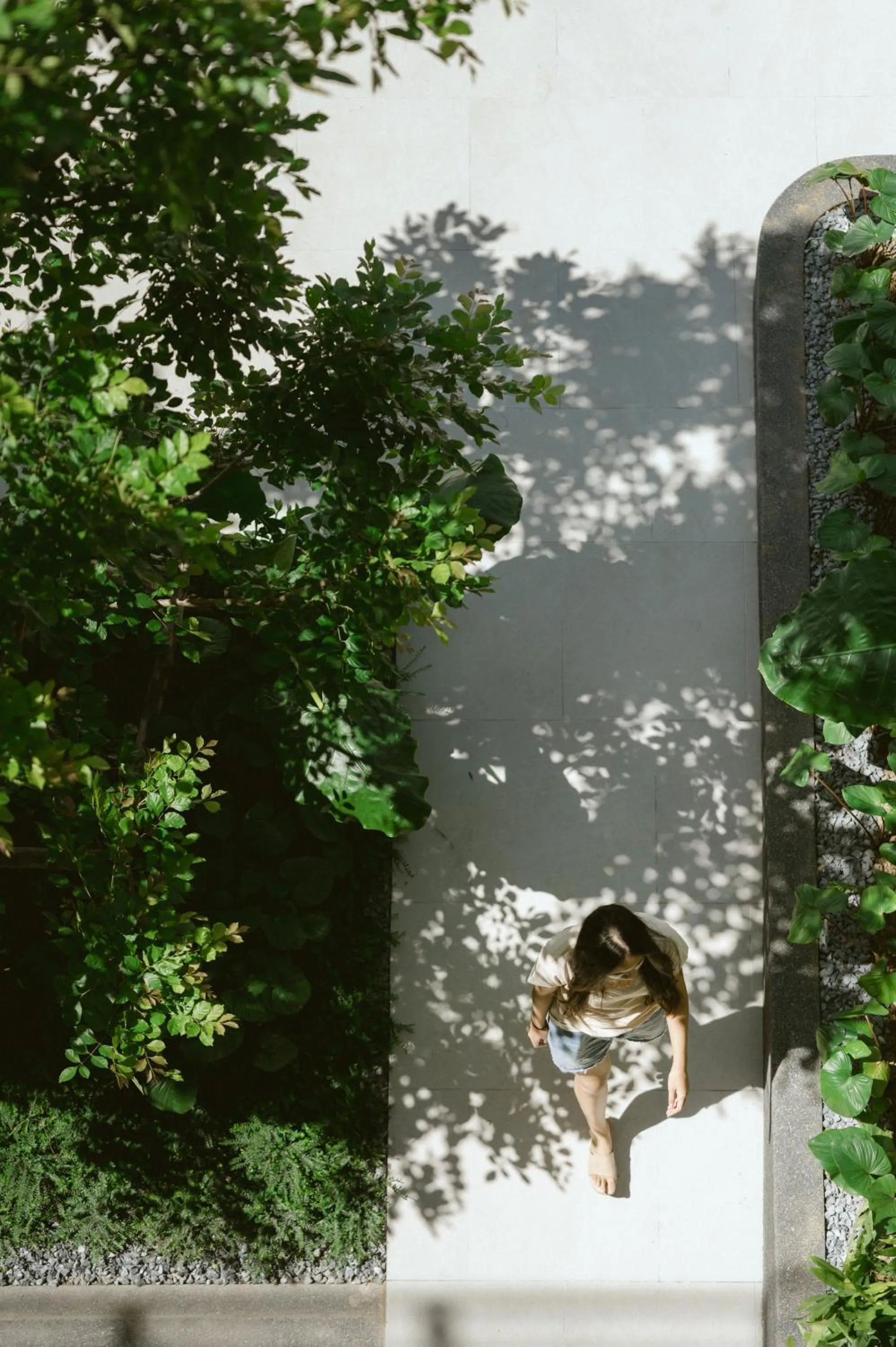 Natural landscape in PAAK Hotel Suvarnabhumi