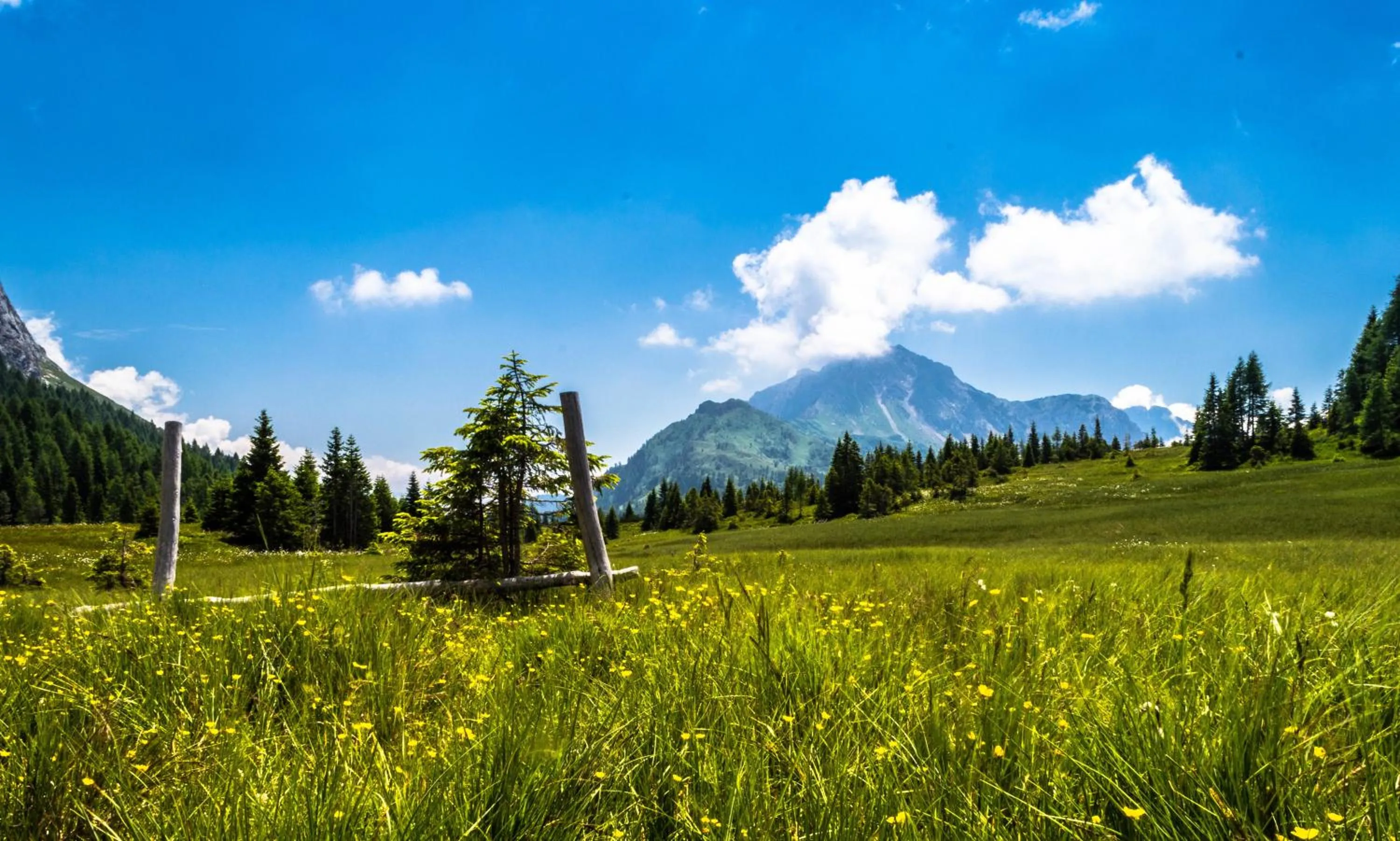 Other in Residence Cavanis Wellness & Spa