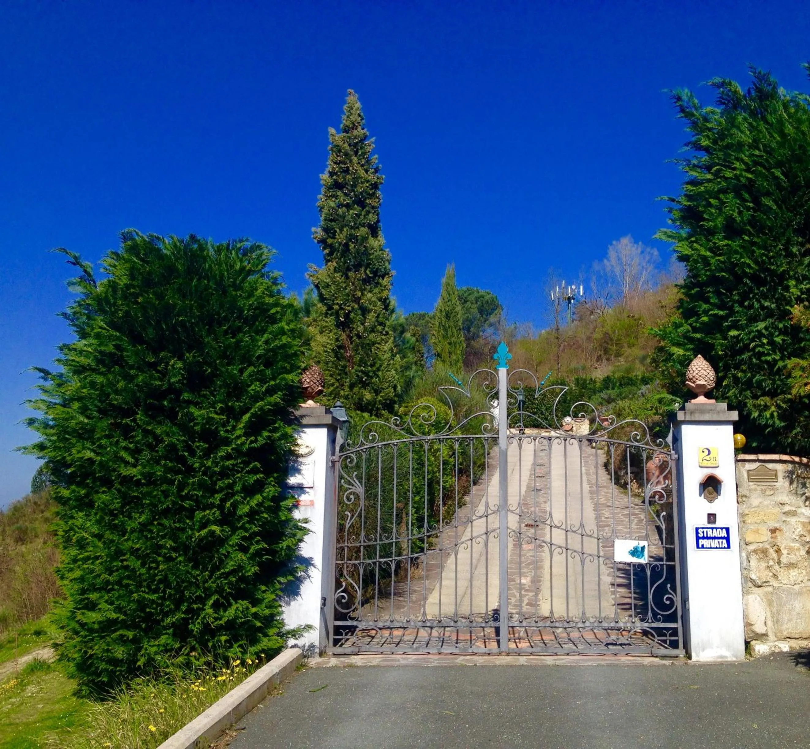 Area and facilities in B&B Pino del Capitano