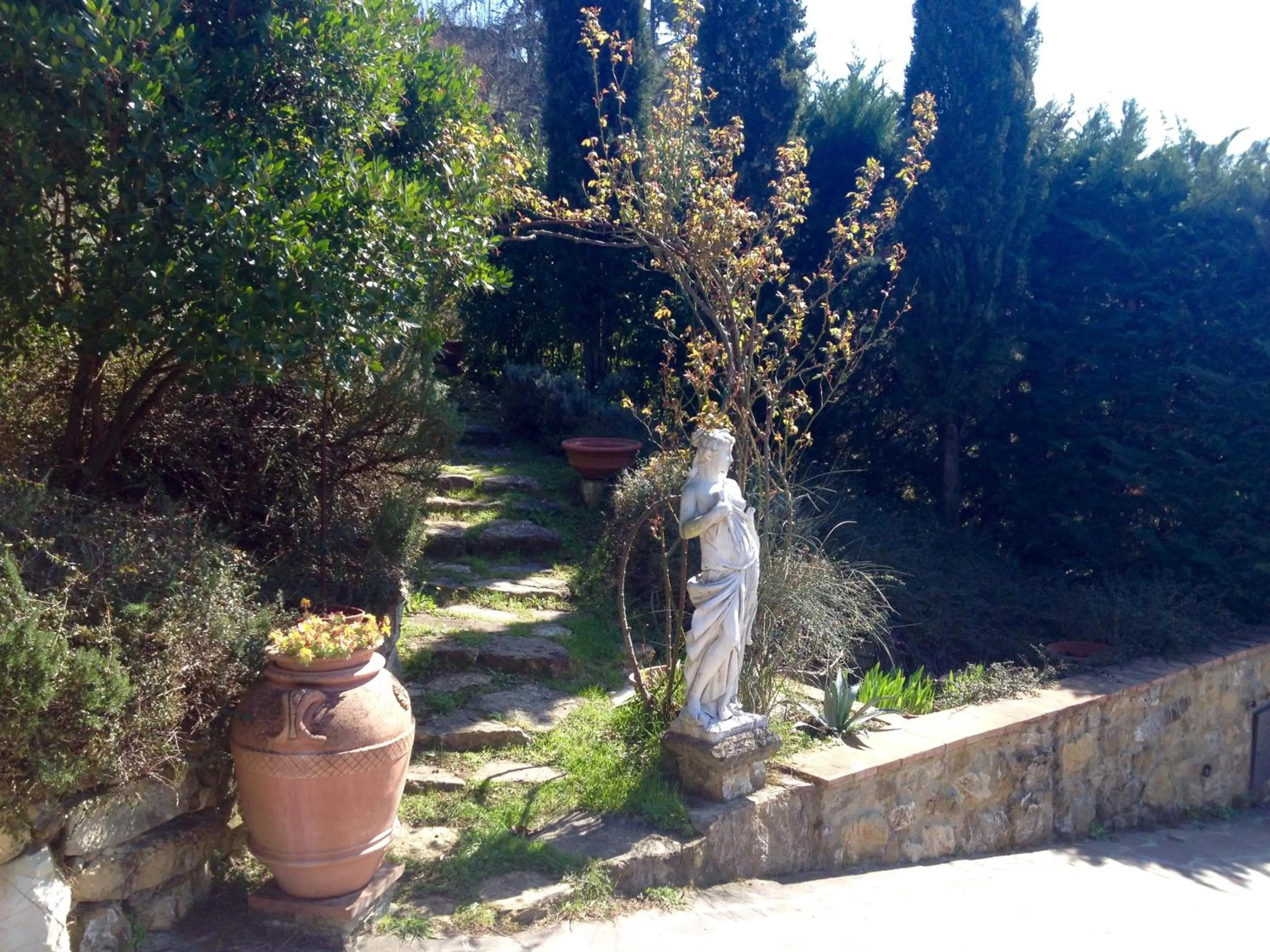 Garden view in B&B Pino del Capitano