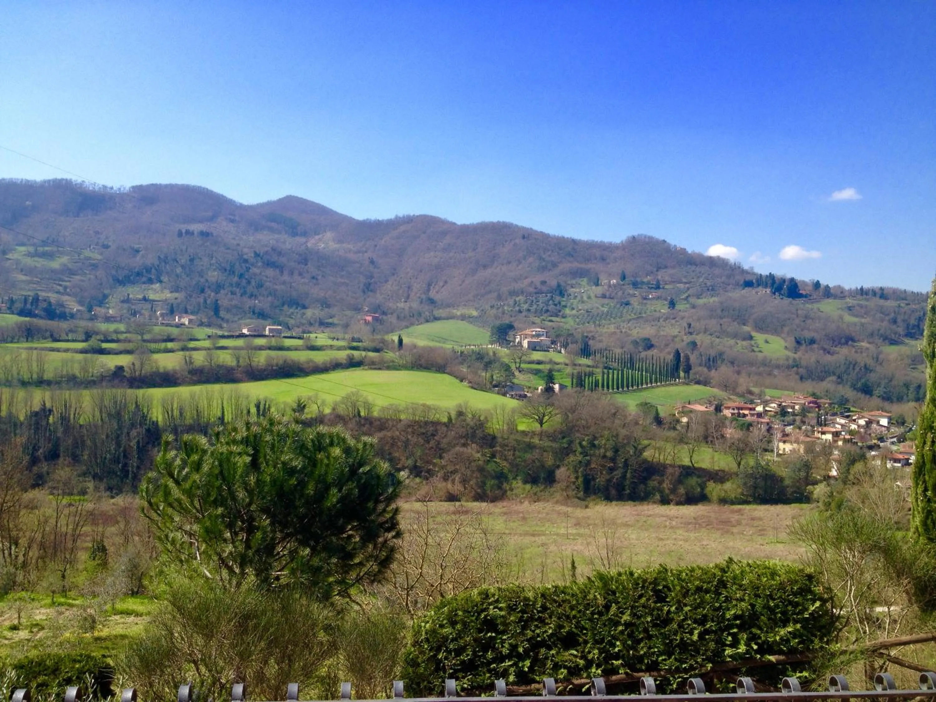 Natural landscape in B&B Pino del Capitano