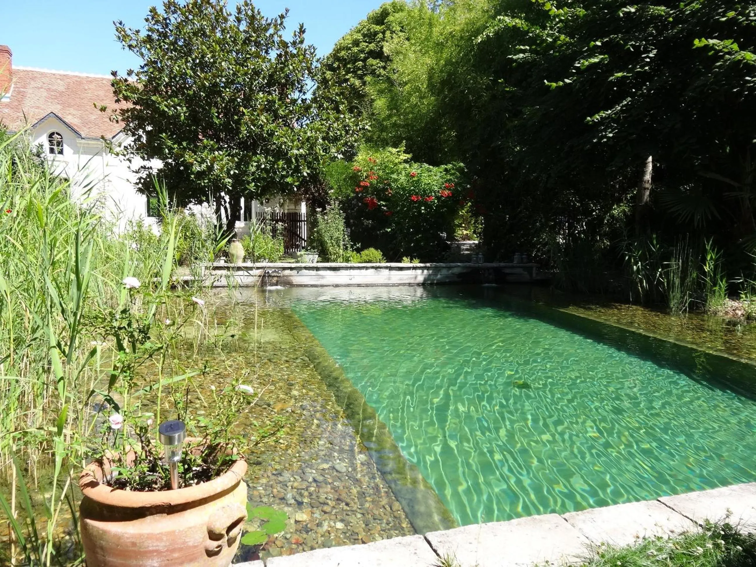 Swimming pool in Jardin de Canaan