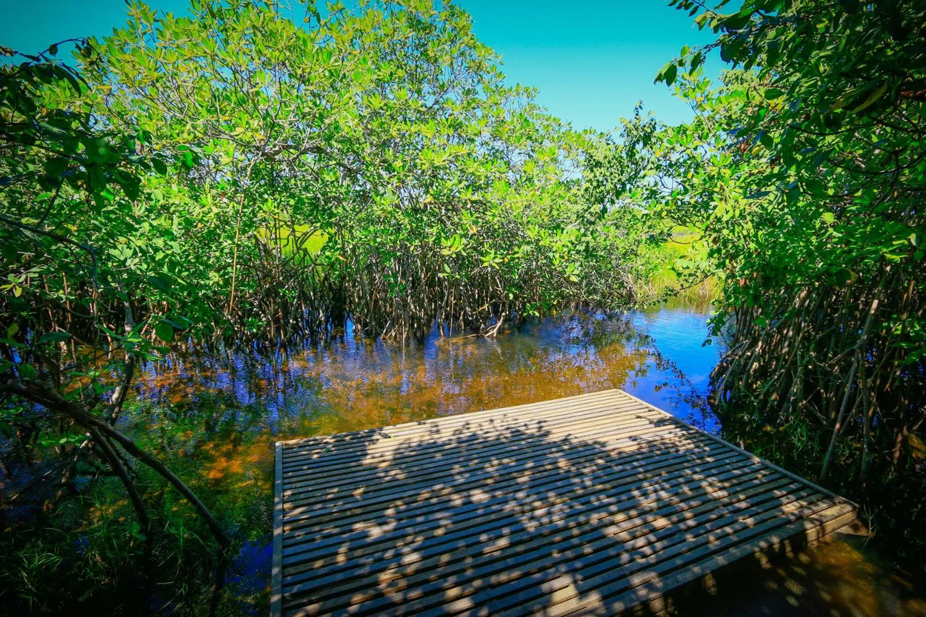 Pousada Ecologica Bangalo de Praia