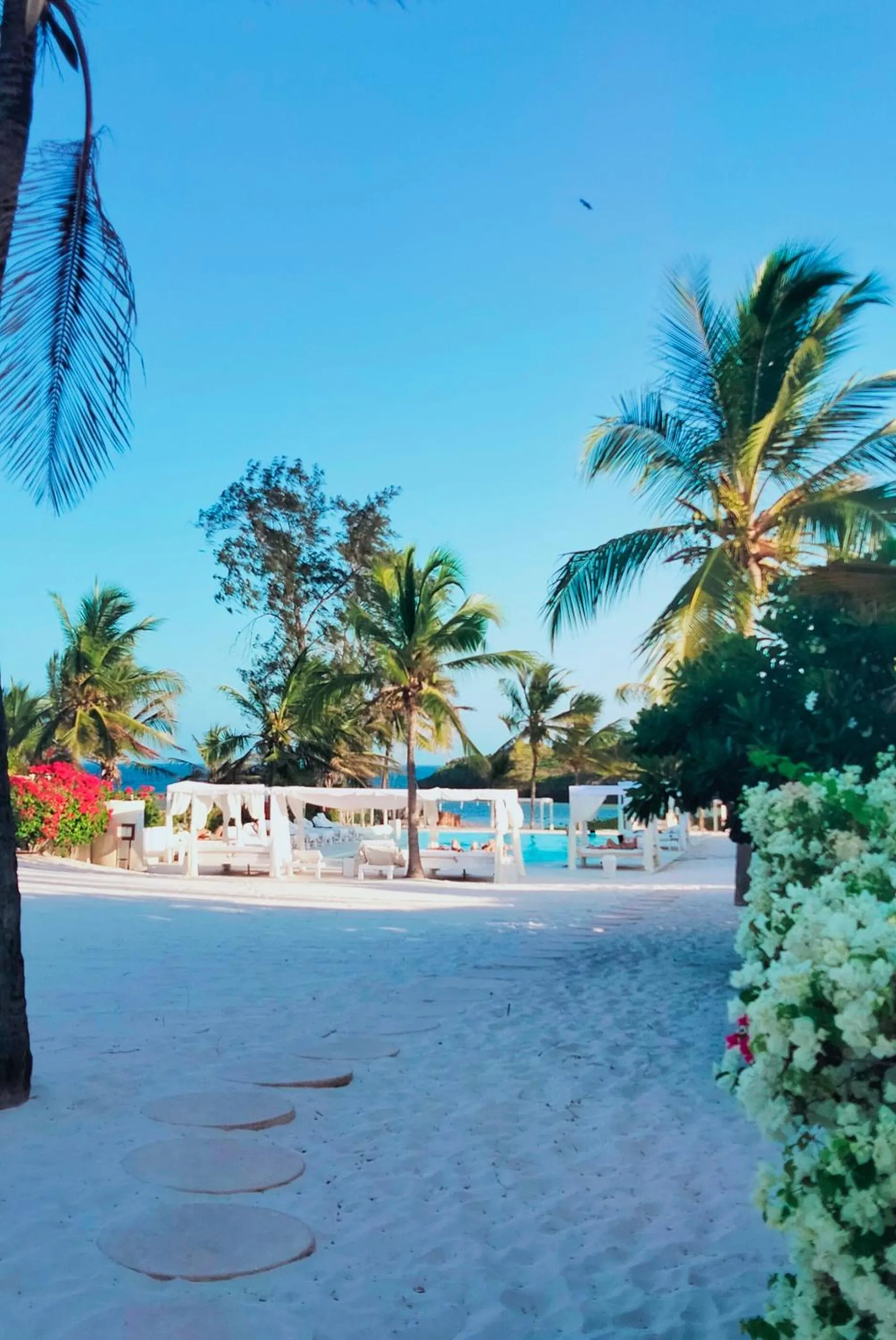 Lady D House Watamu