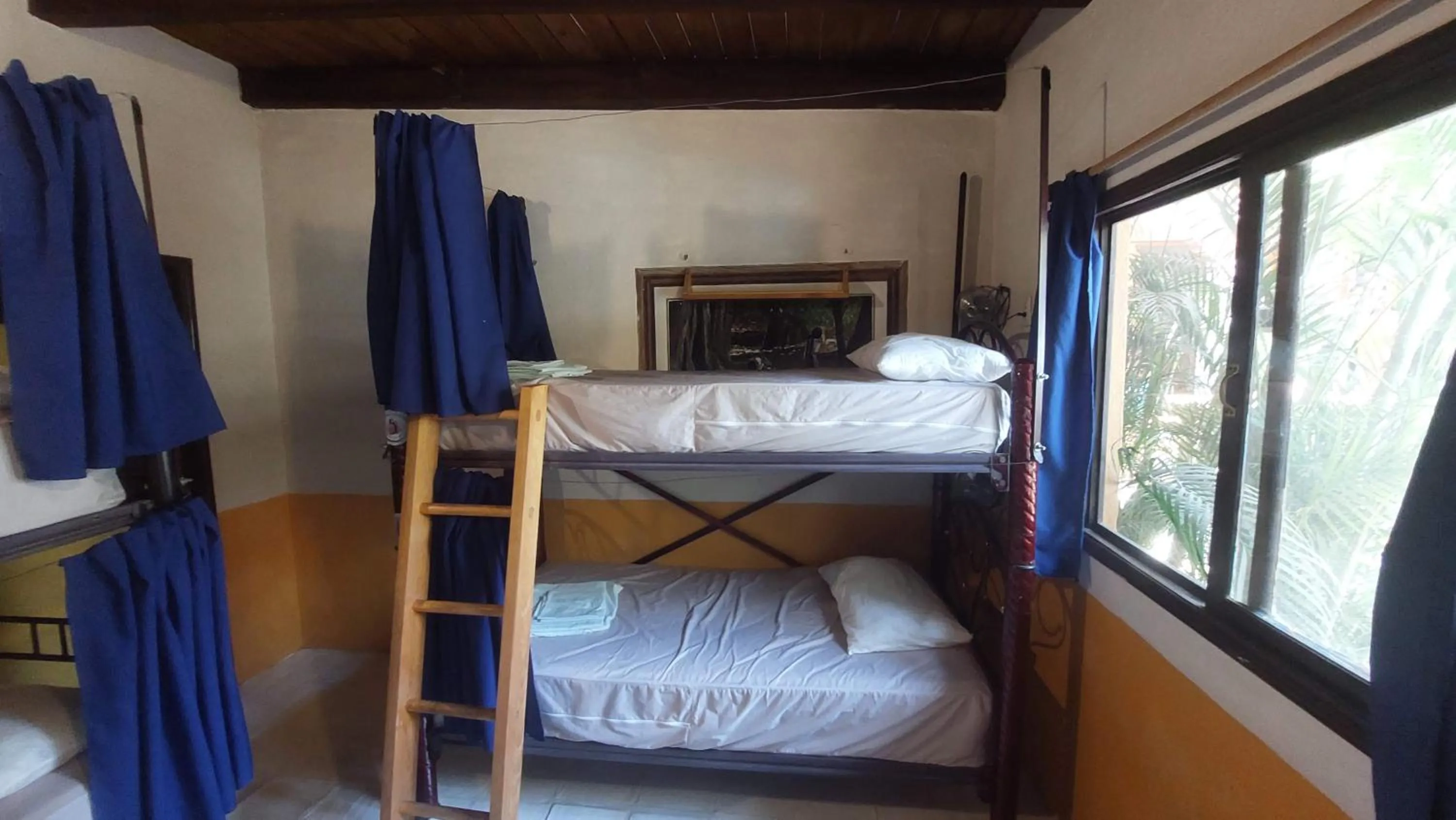 bunk bed, Bed in Tower Bridge Hostel