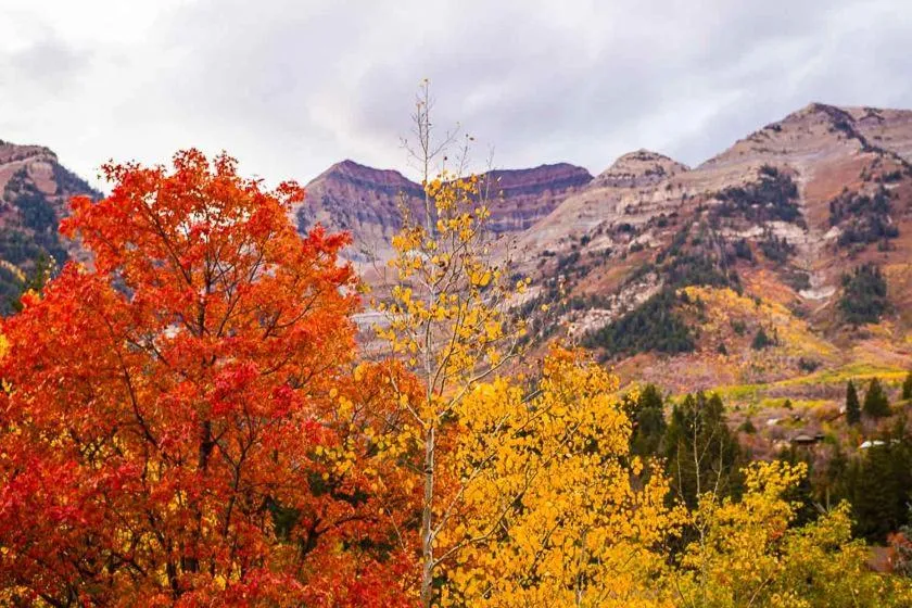 Natural landscape in Treehouse On The Stream Sundance, Utah