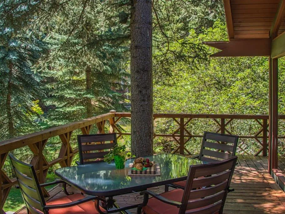 Patio in Treehouse On The Stream Sundance, Utah