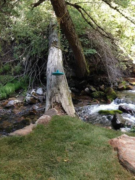 River view in Treehouse On The Stream Sundance, Utah