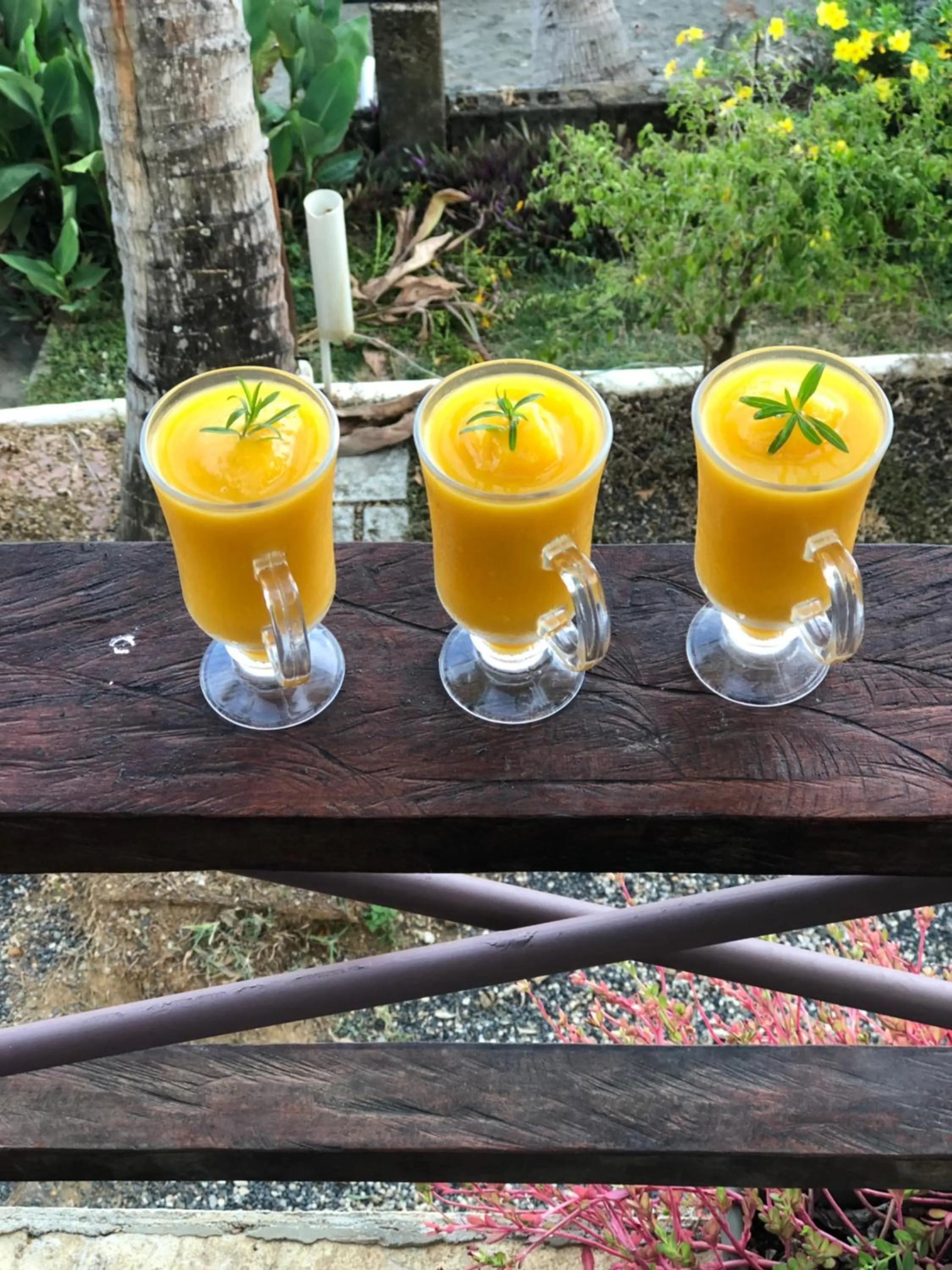 Drinks in Hotel y Restaurante Mama Ines