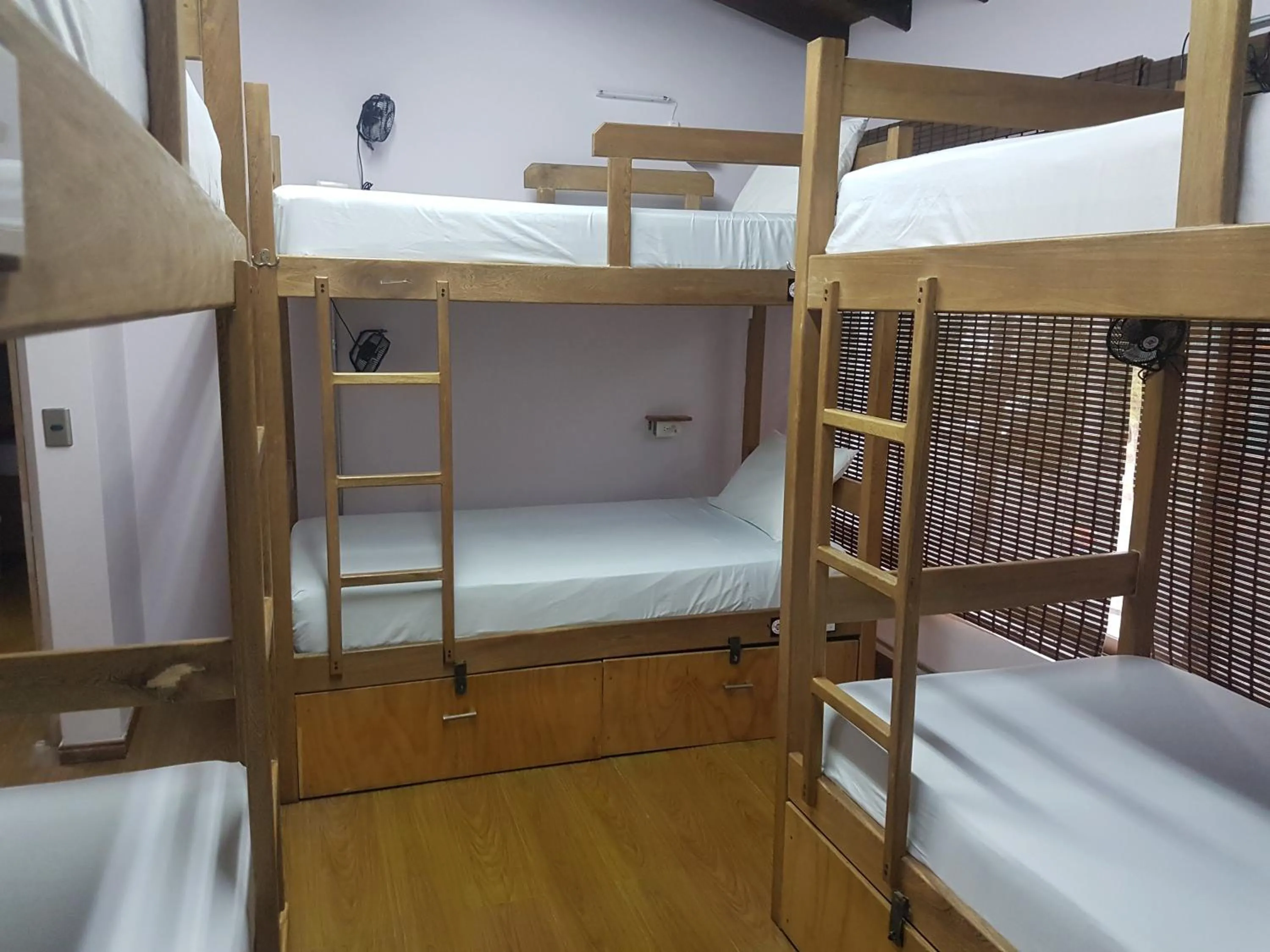 Bed in 6-Bed Mixed Dormitory Room with Bathroom in Purple Monkey Hostel