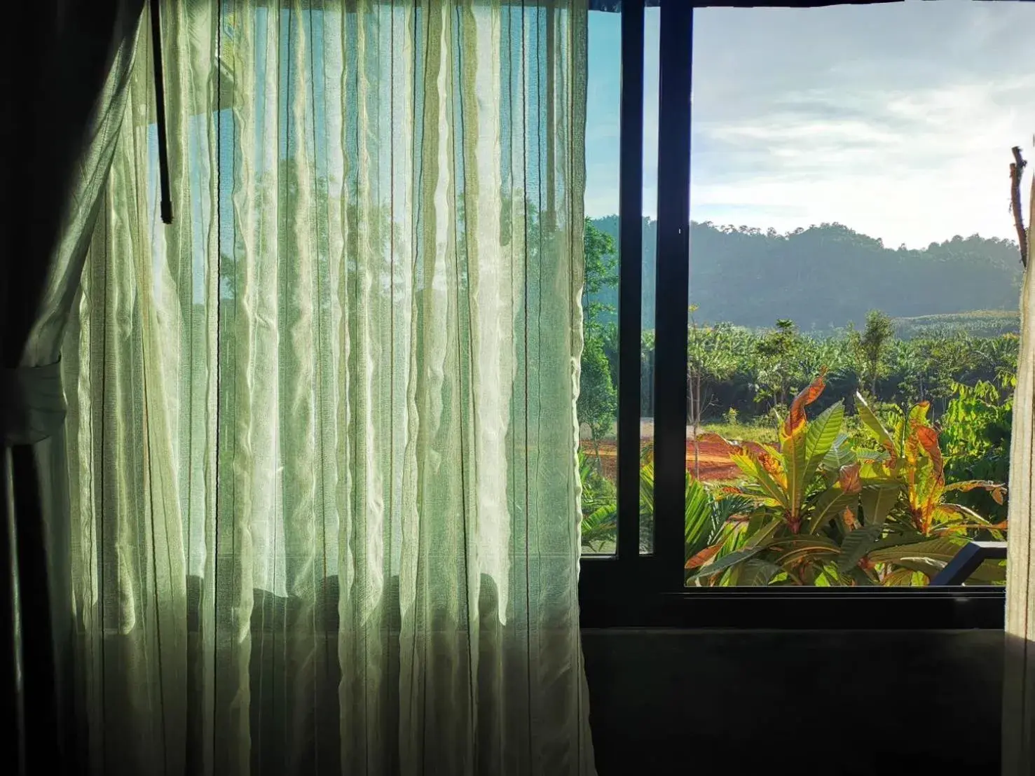 Garden view in Aonang Oscar Pool Villas - Free Shuttle to Aonang Beach -shared pool - private pool Garden view in Aonang Oscar Pool Villas - Free Shuttle to Aonang Beach -shared pool - private pool