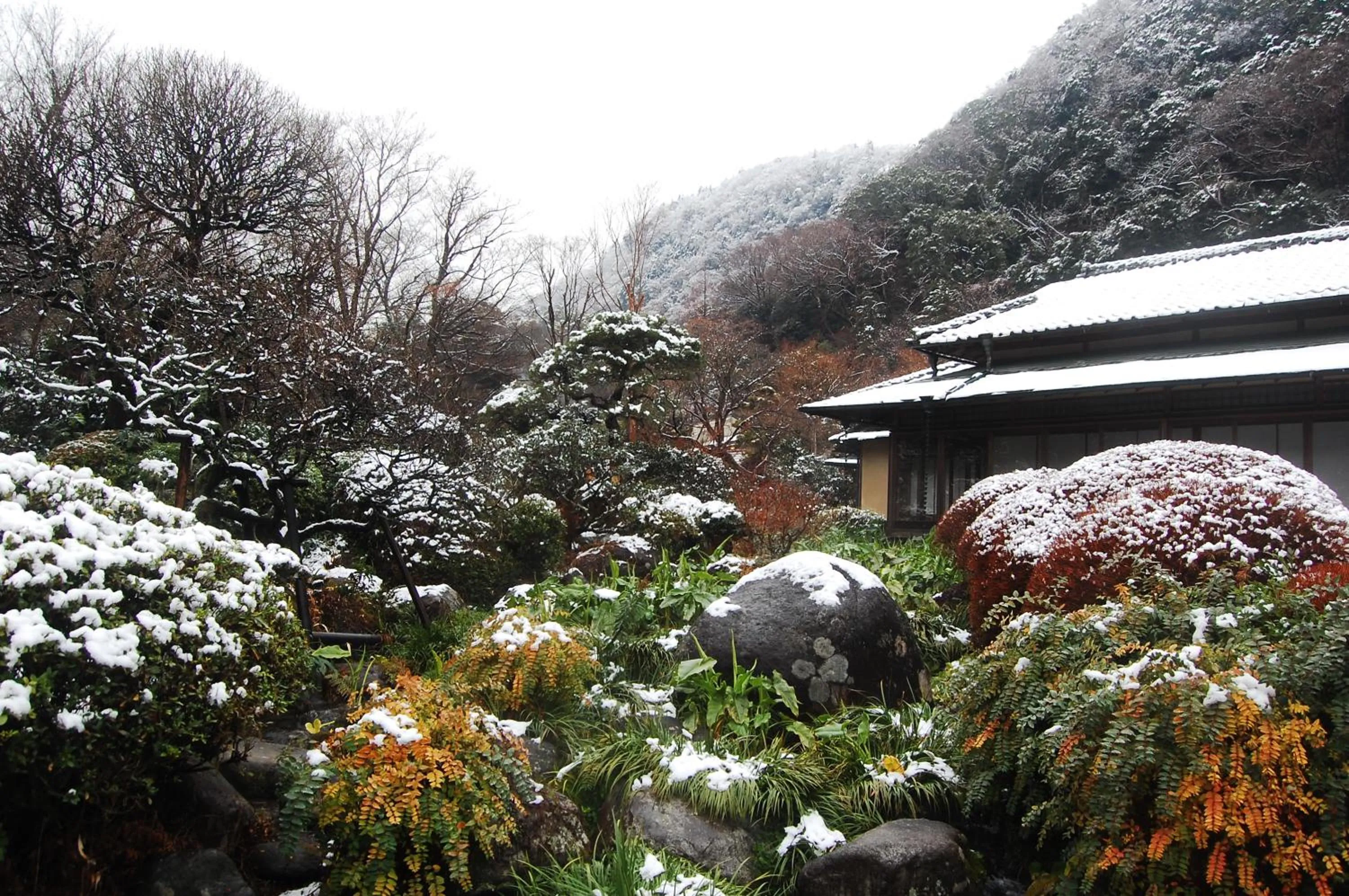 Natural landscape in Yoshiike Ryokan