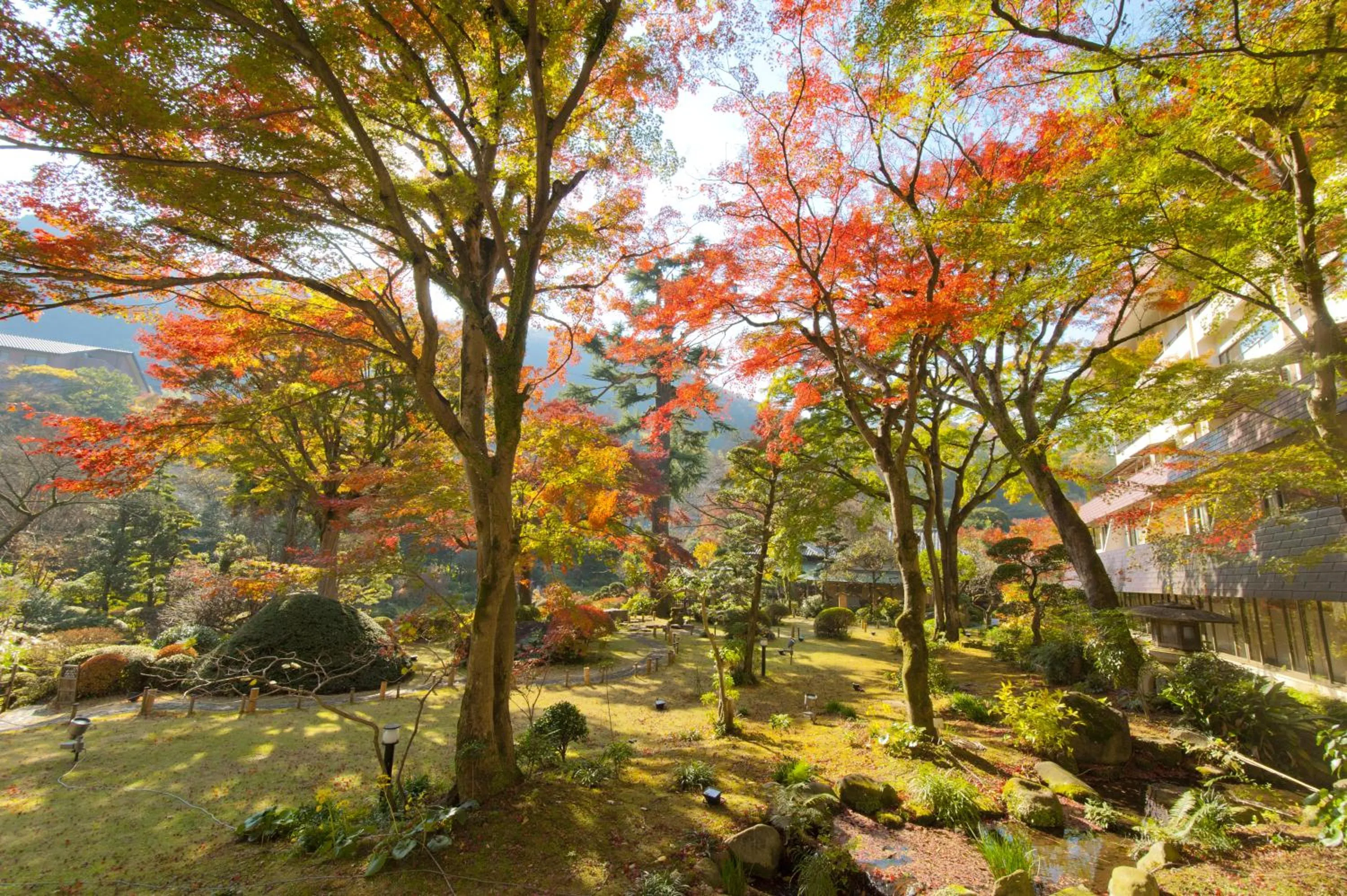 Garden in Yoshiike Ryokan