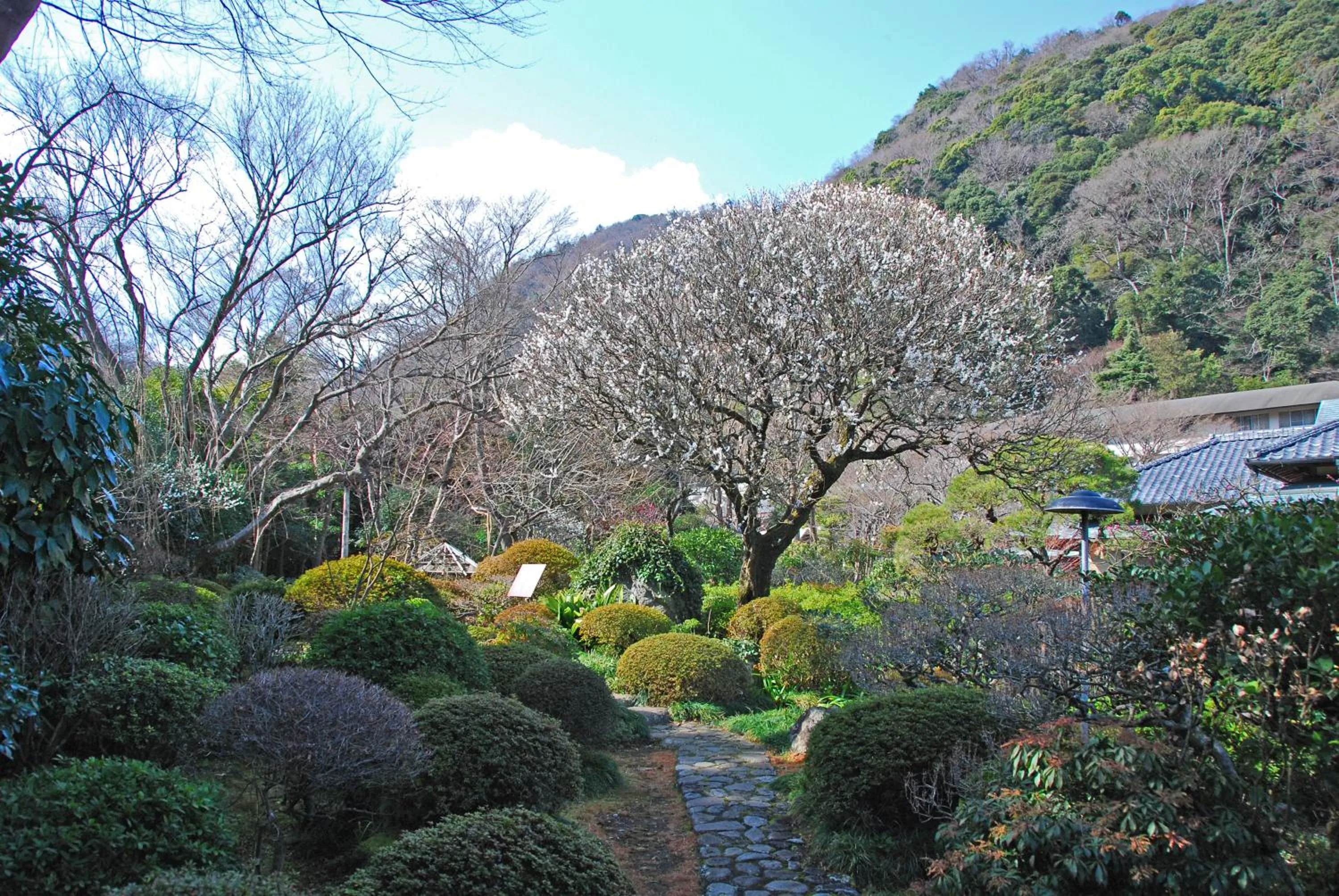 Garden in Yoshiike Ryokan