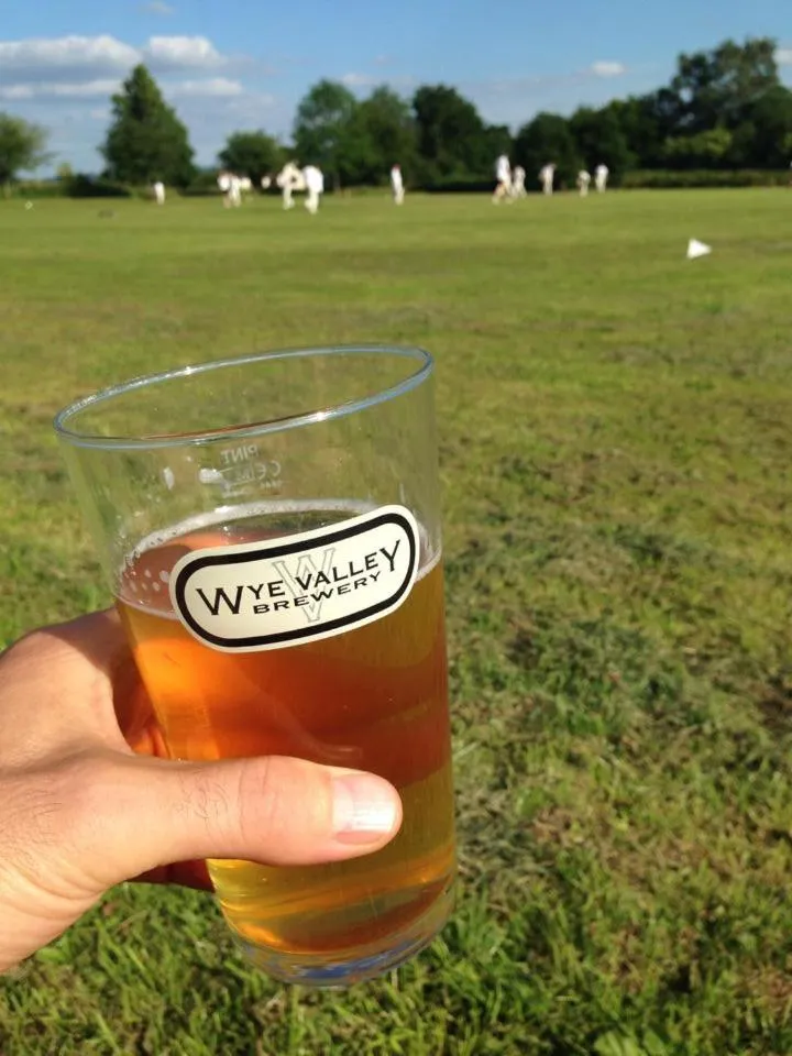 Natural landscape in Garway Moon Inn