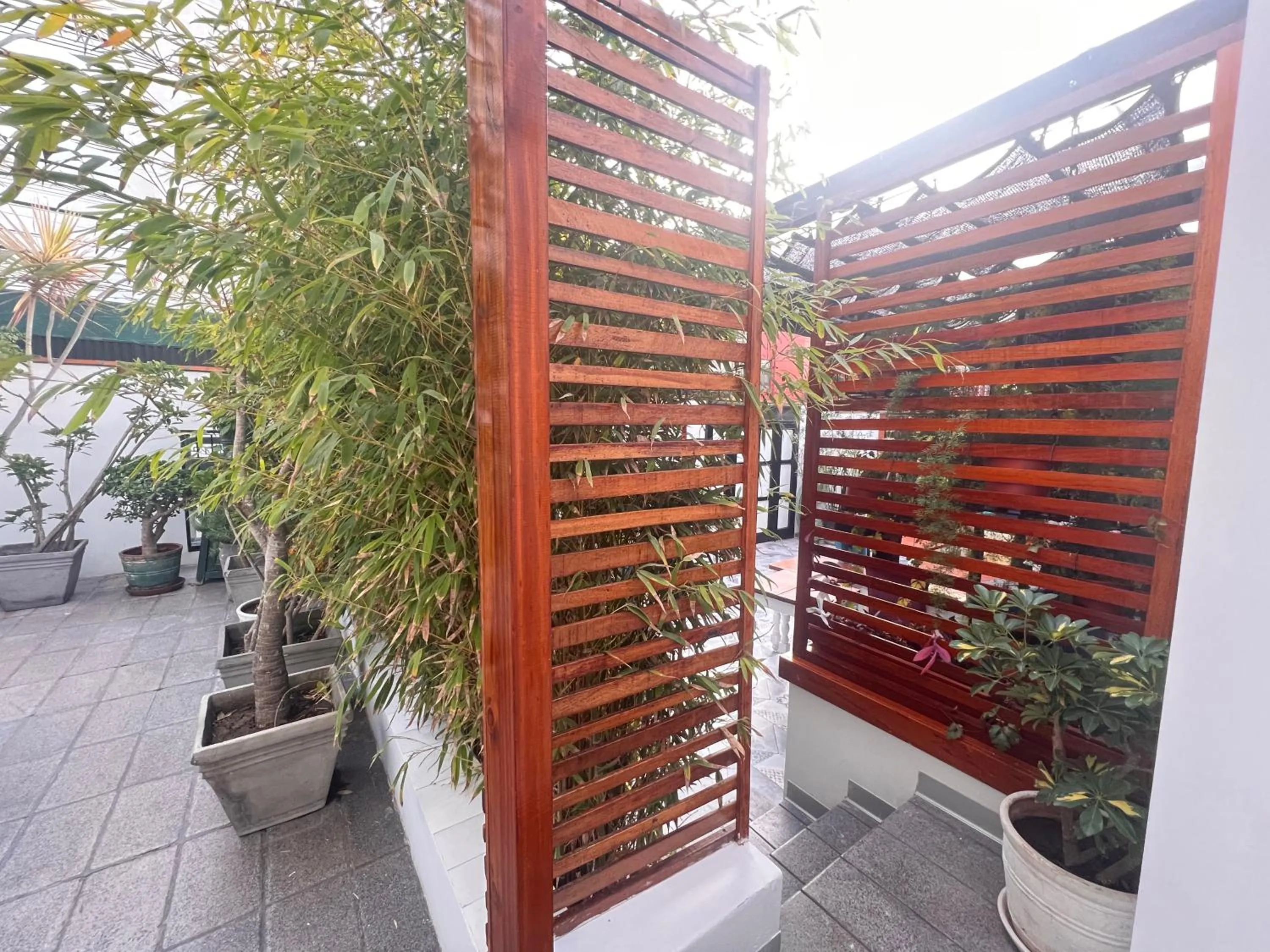 Garden view in La Casa del Viajero