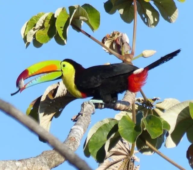 Hotel Villas de la Colina