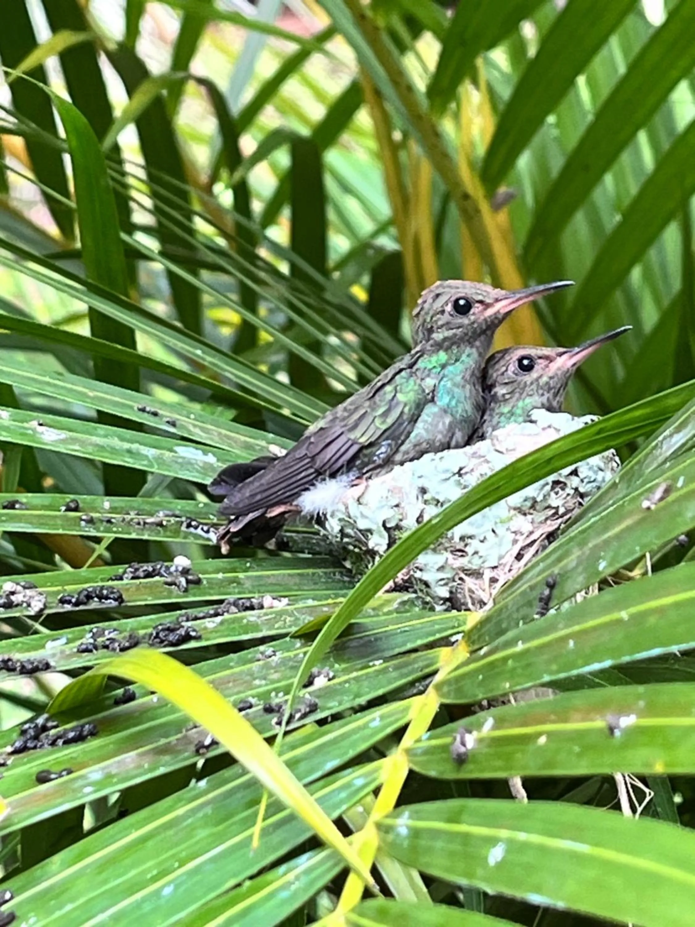 Hotel Villas de la Colina