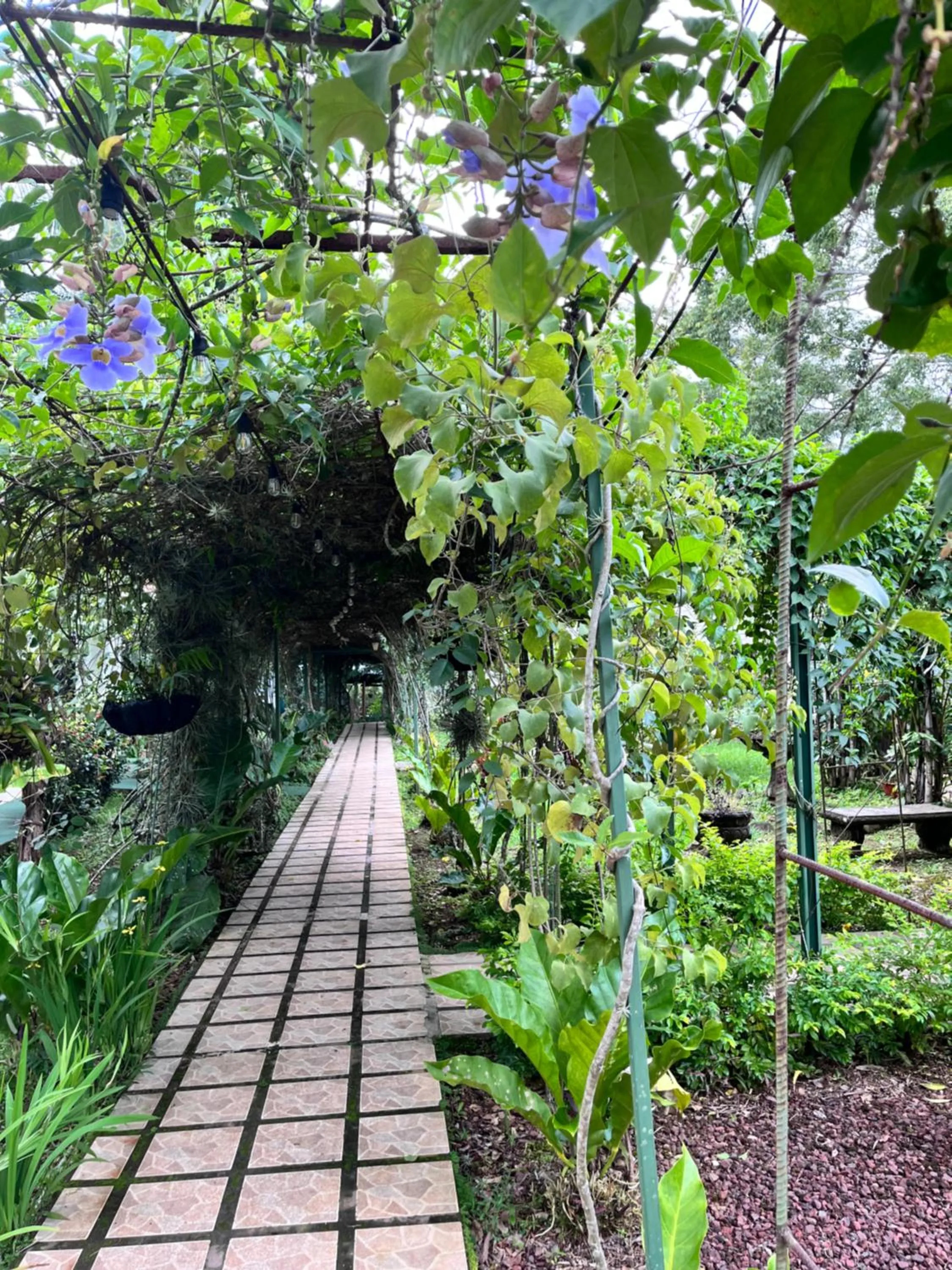 Hotel Villas de la Colina