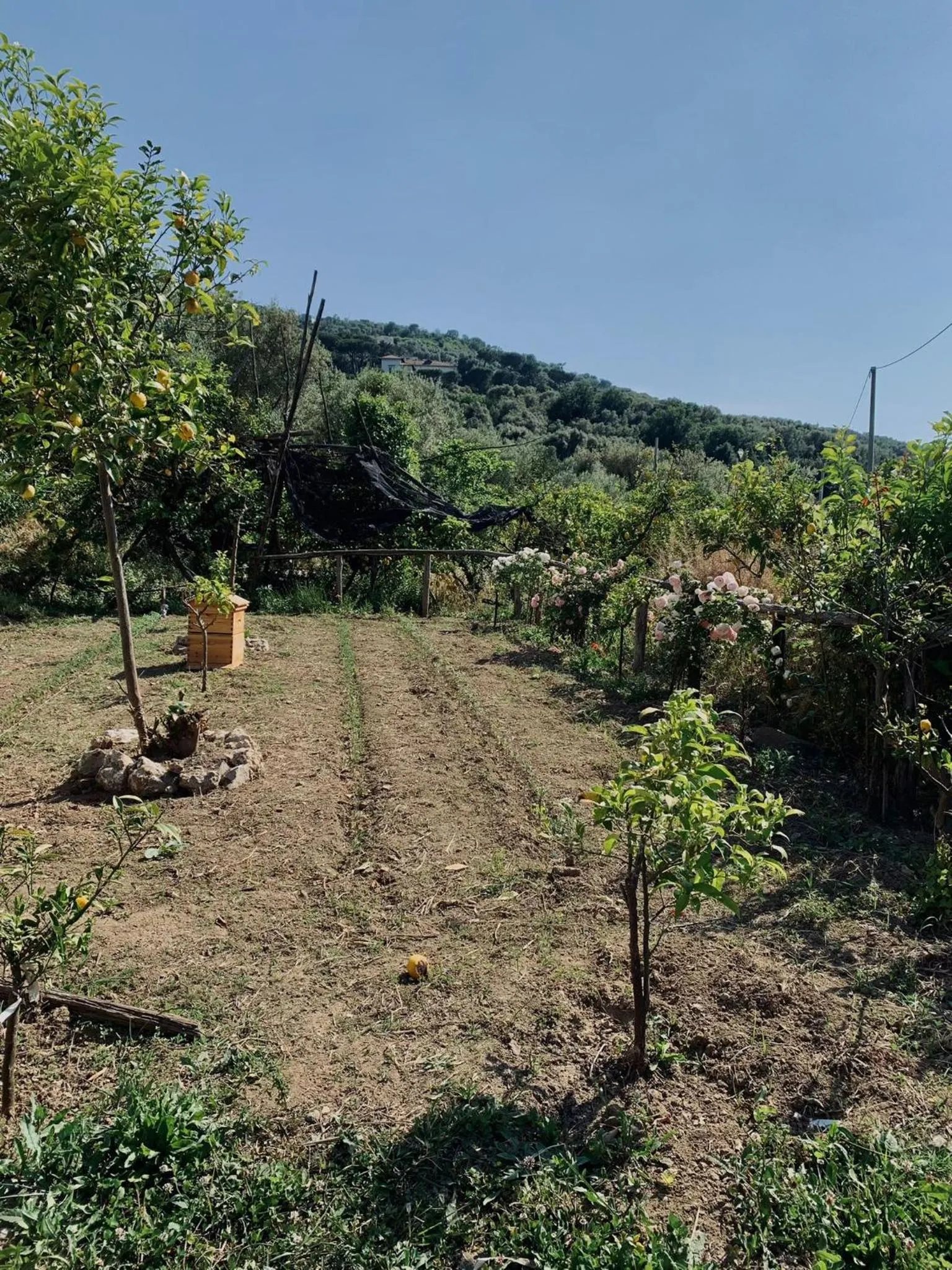Garden in Villa Giovanna