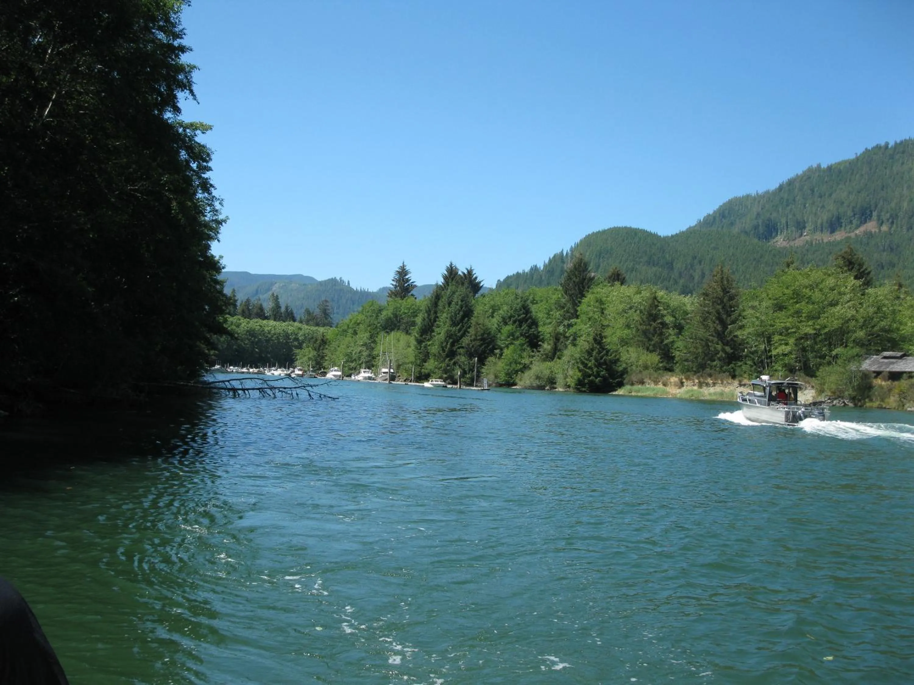 Natural landscape in A Shack In The Woods