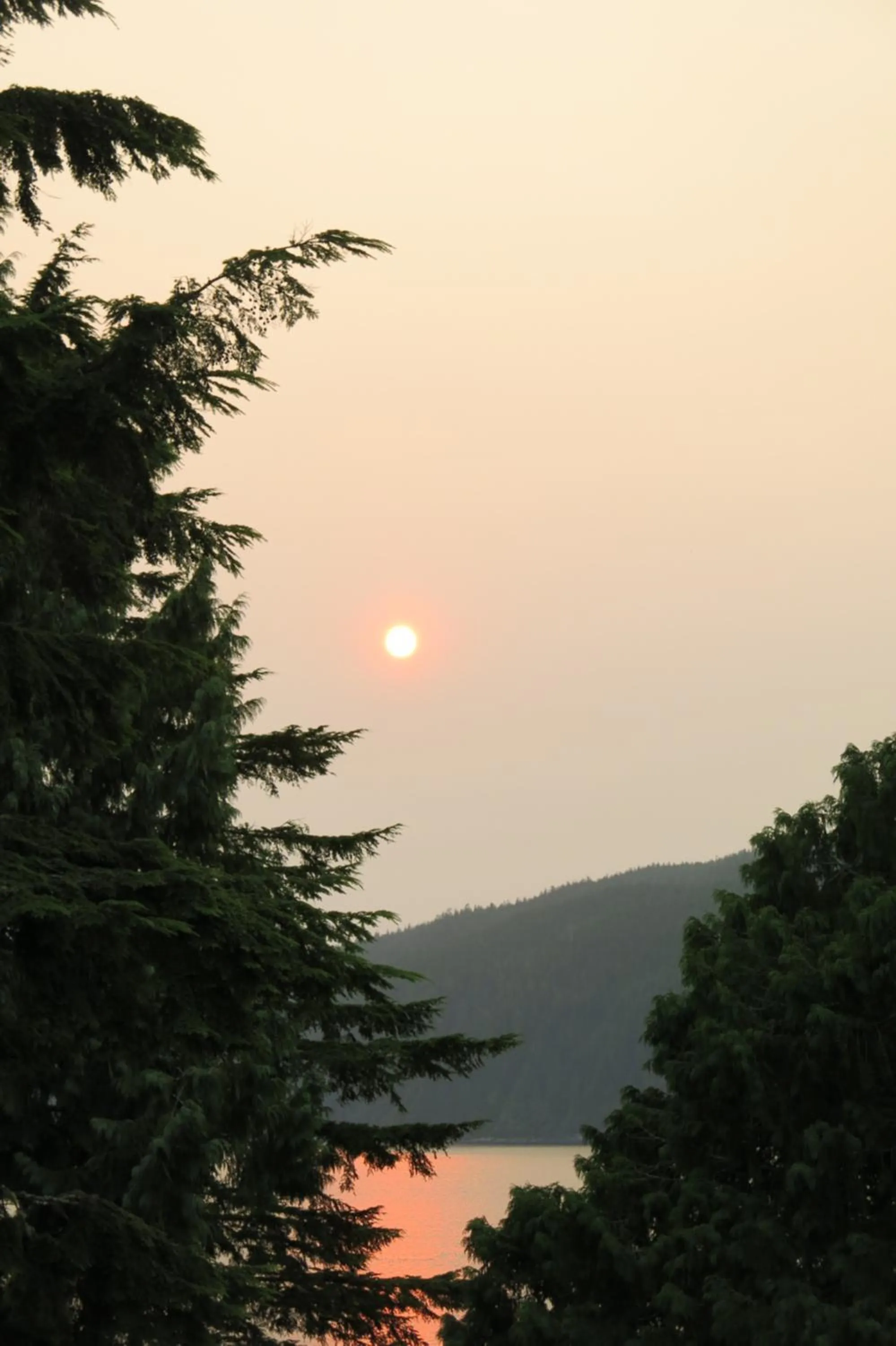 Natural landscape in A Shack In The Woods