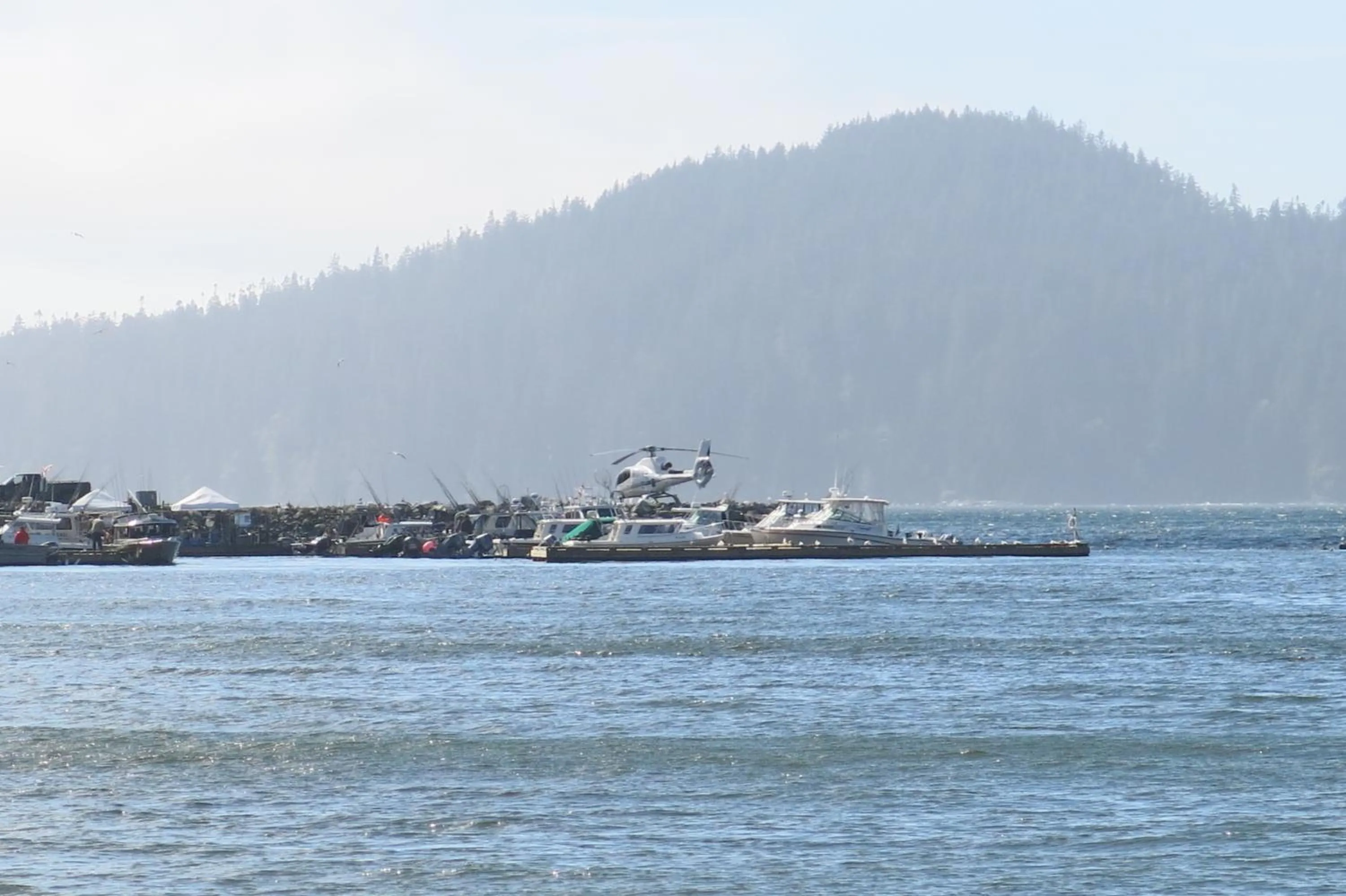 Natural landscape in A Shack In The Woods
