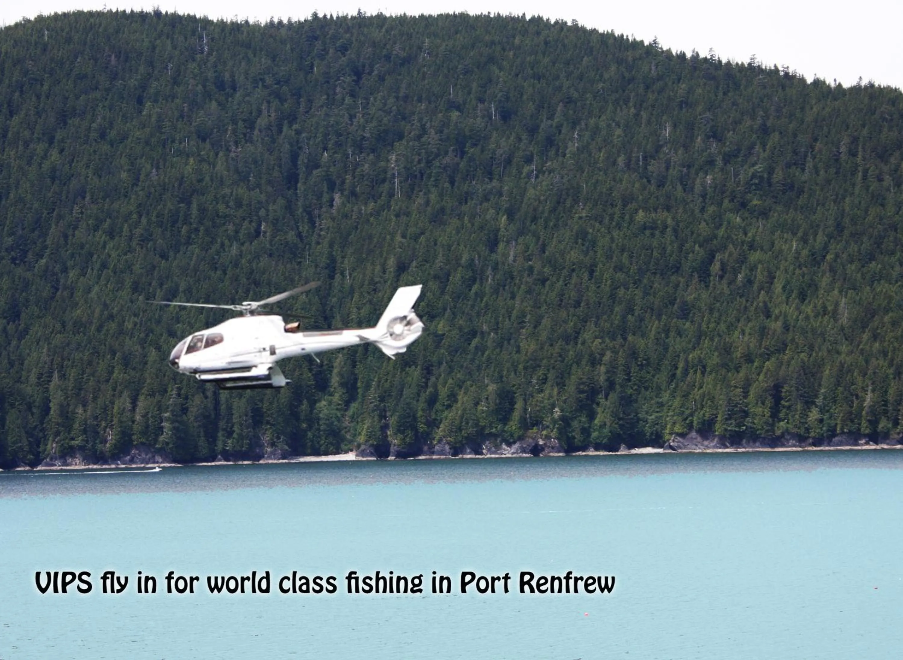 Fishing in A Shack In The Woods