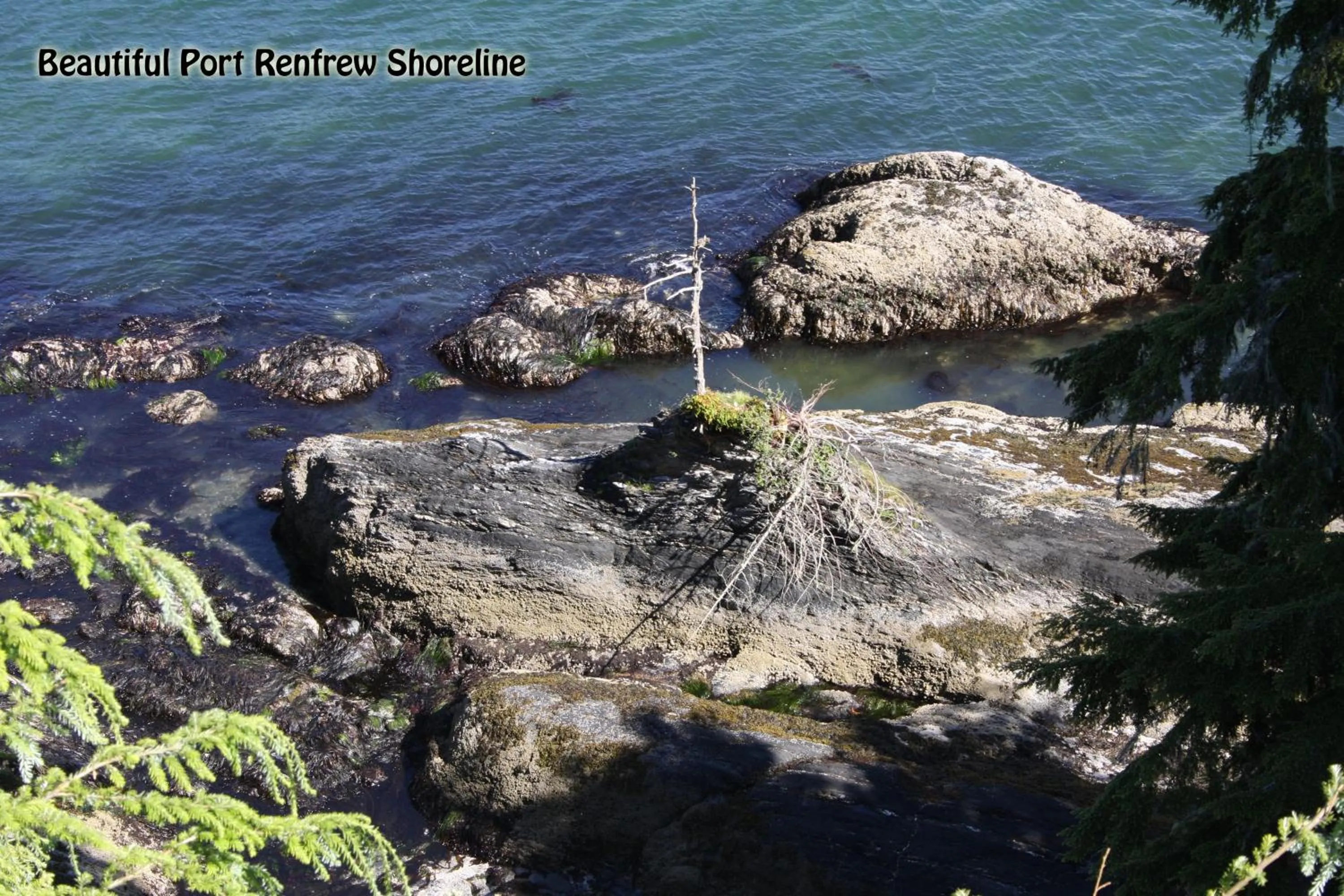 Natural landscape in A Shack In The Woods