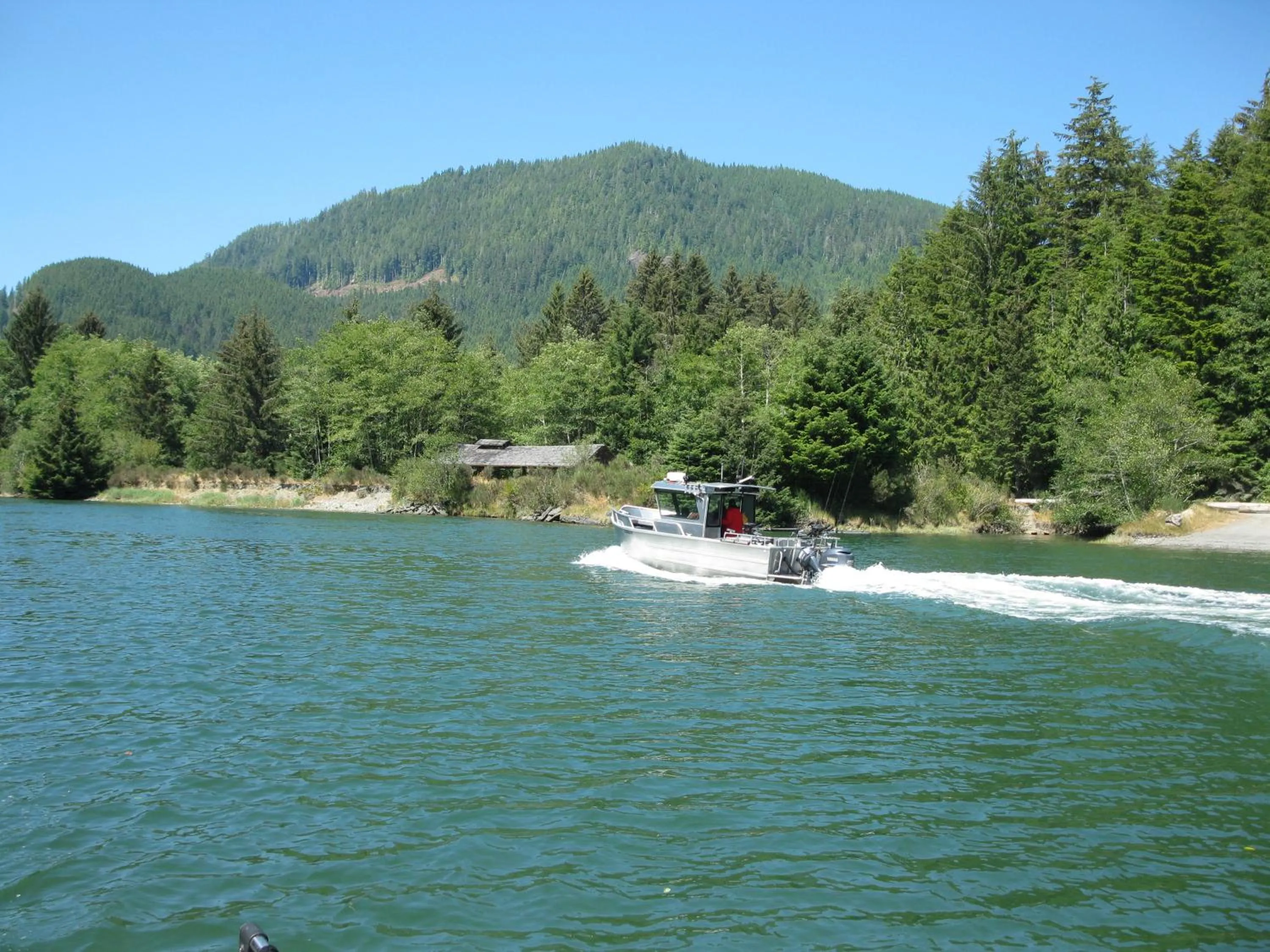 Natural landscape in A Shack In The Woods