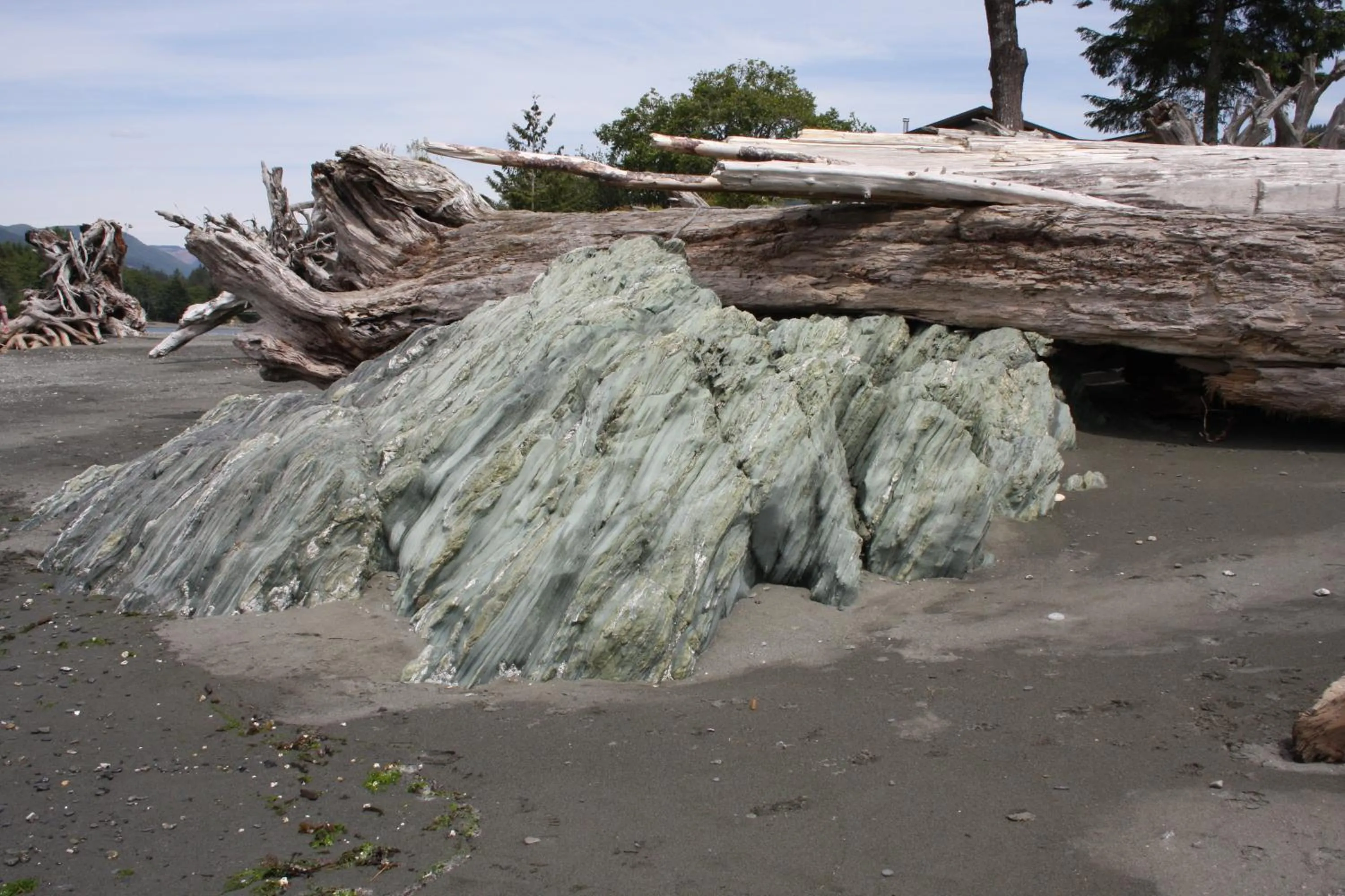 Natural landscape in A Shack In The Woods