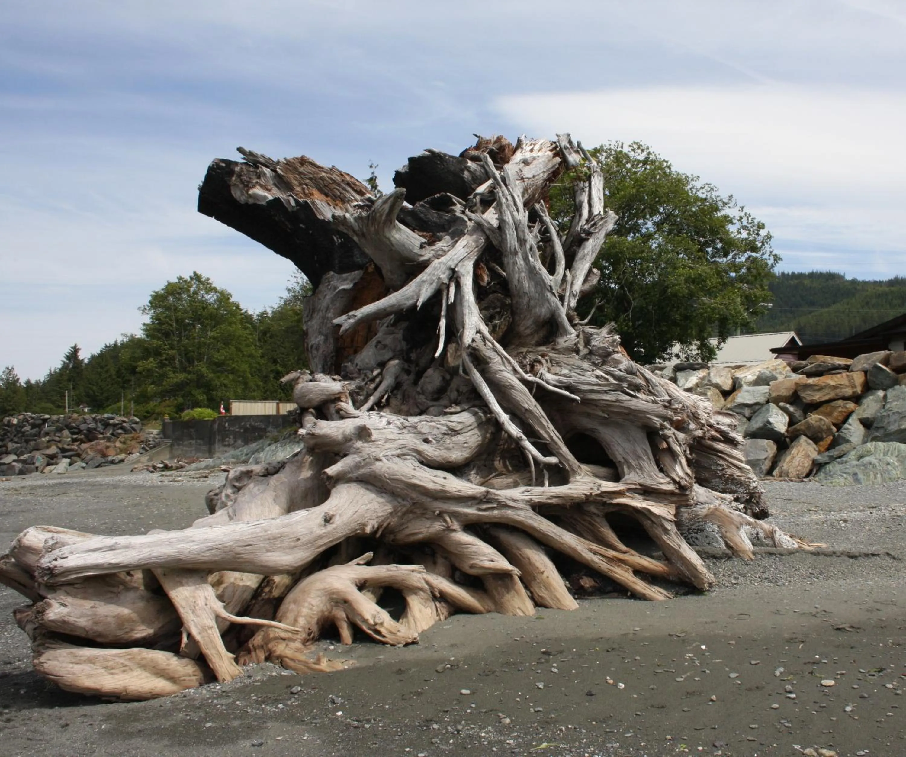 Natural landscape in A Shack In The Woods