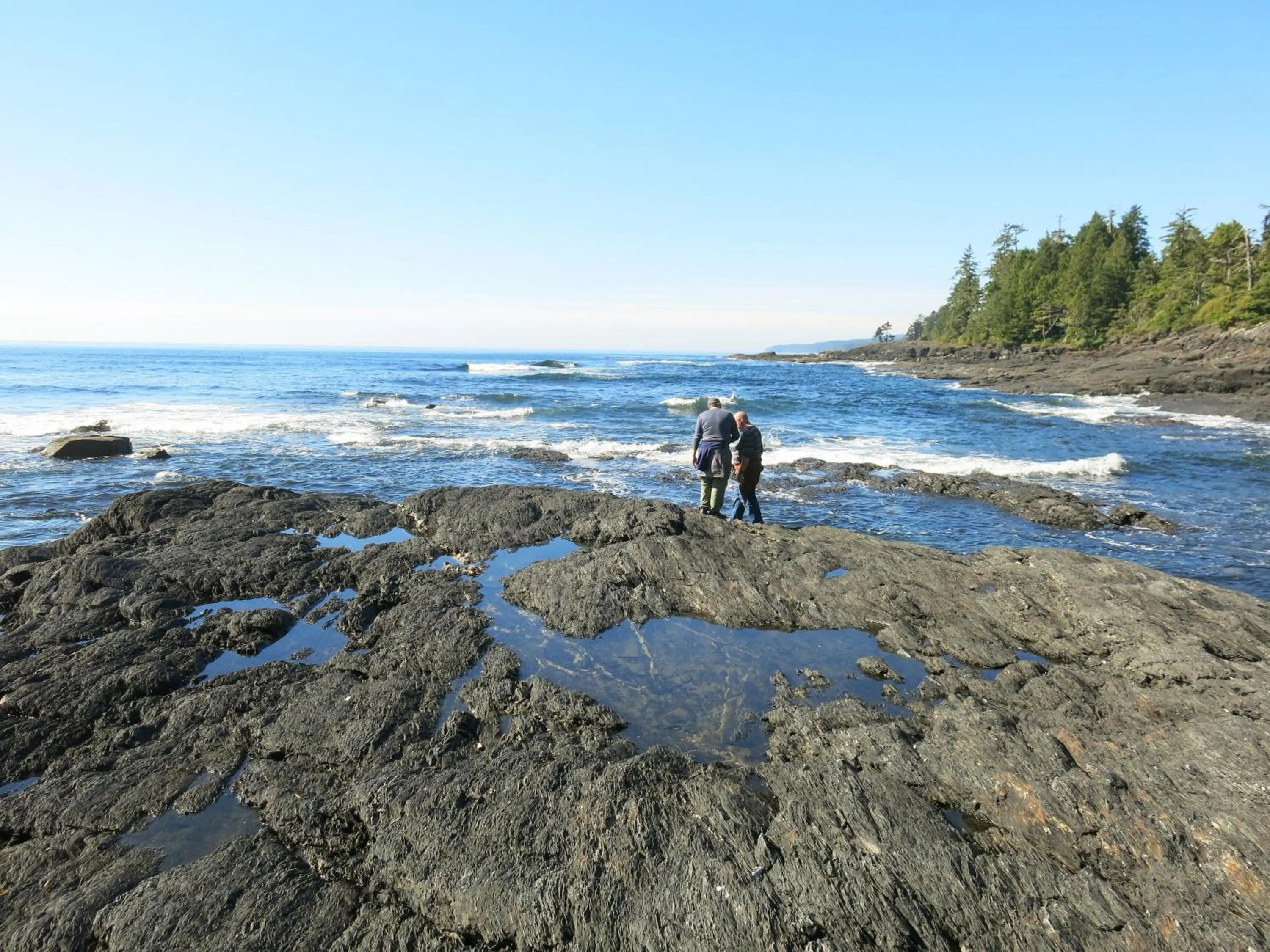 Activities in A Shack In The Woods