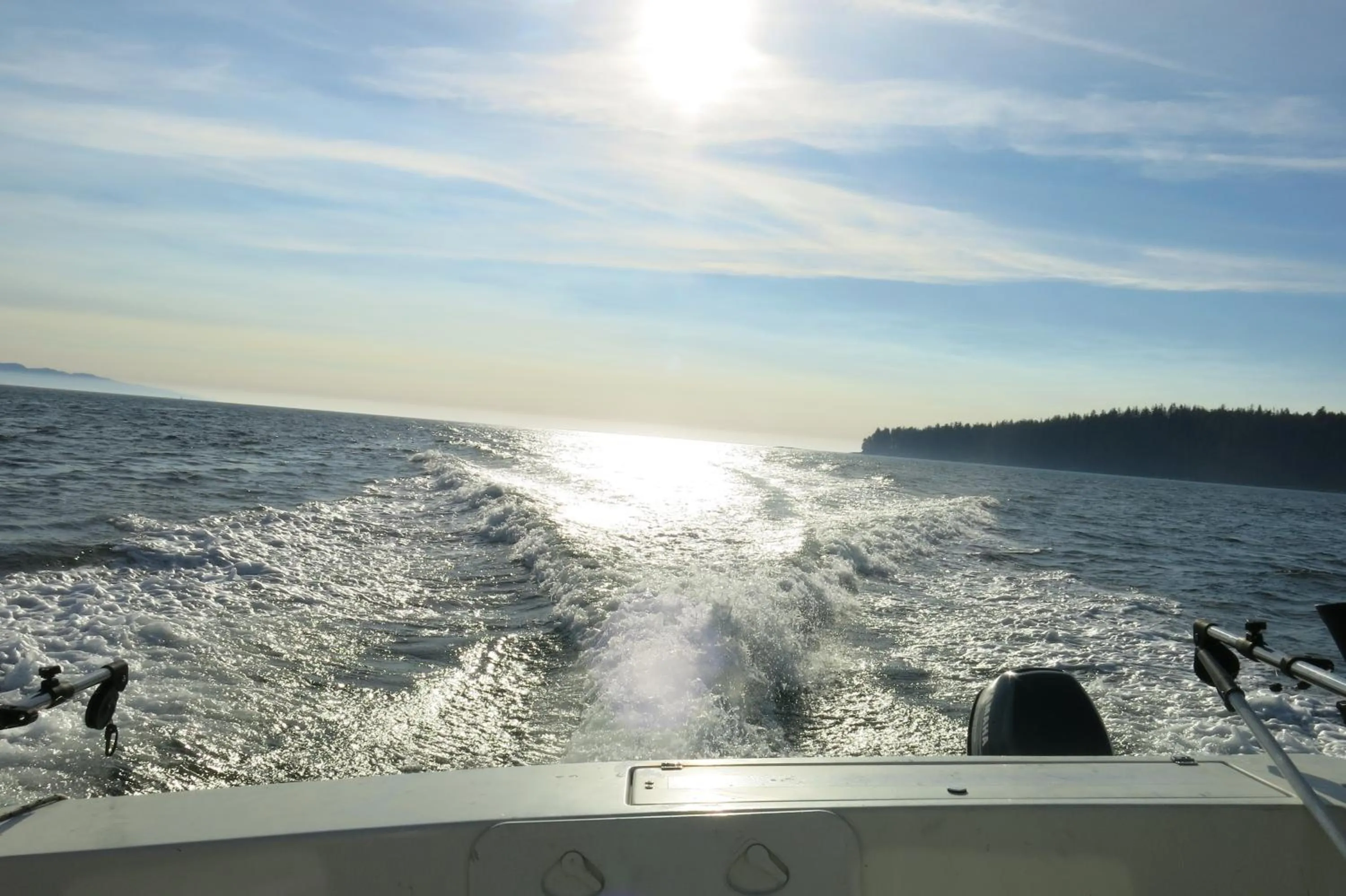 Sea view in A Shack In The Woods