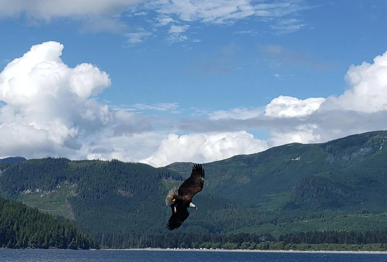 Natural landscape in A Shack In The Woods