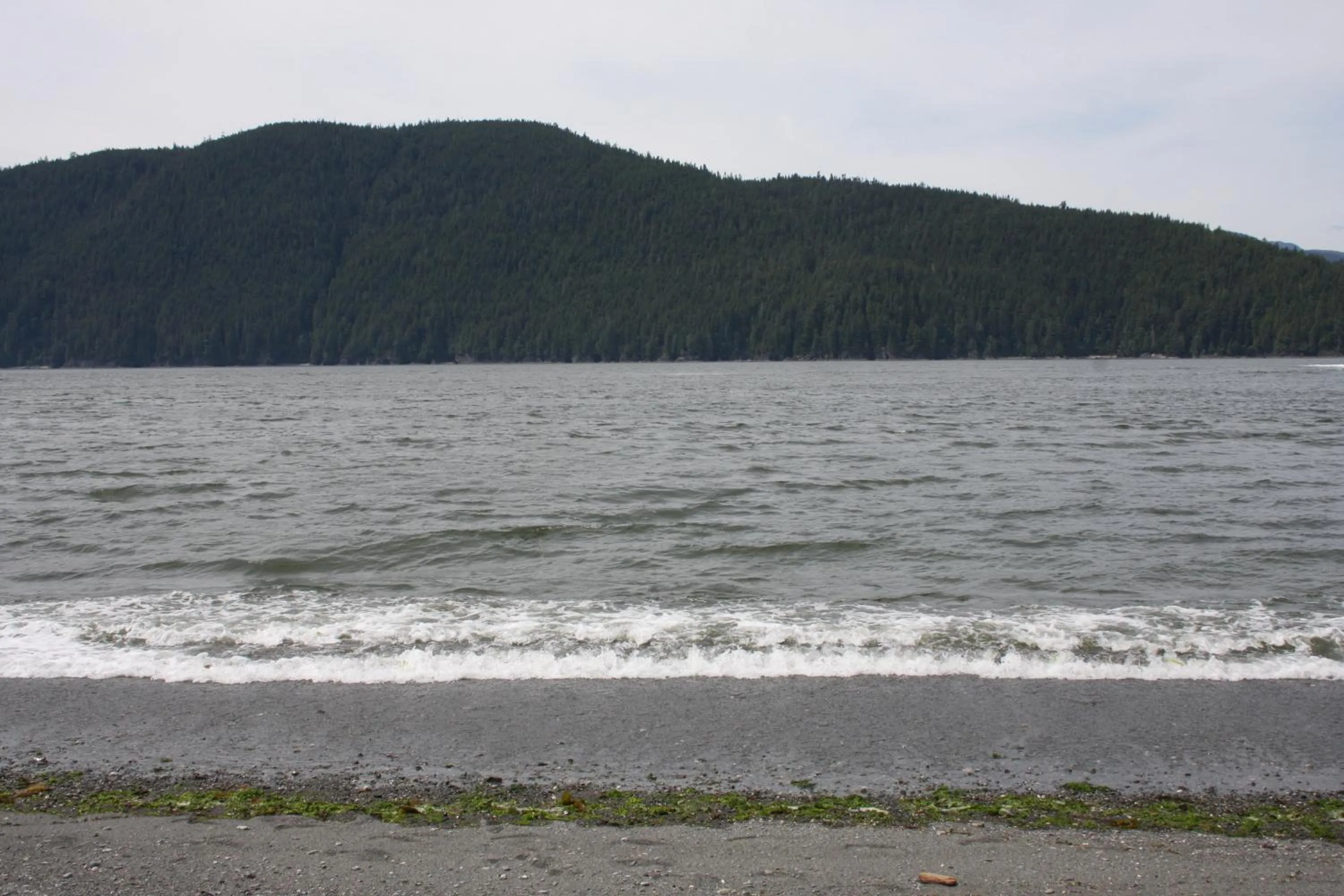 Sea view in A Shack In The Woods