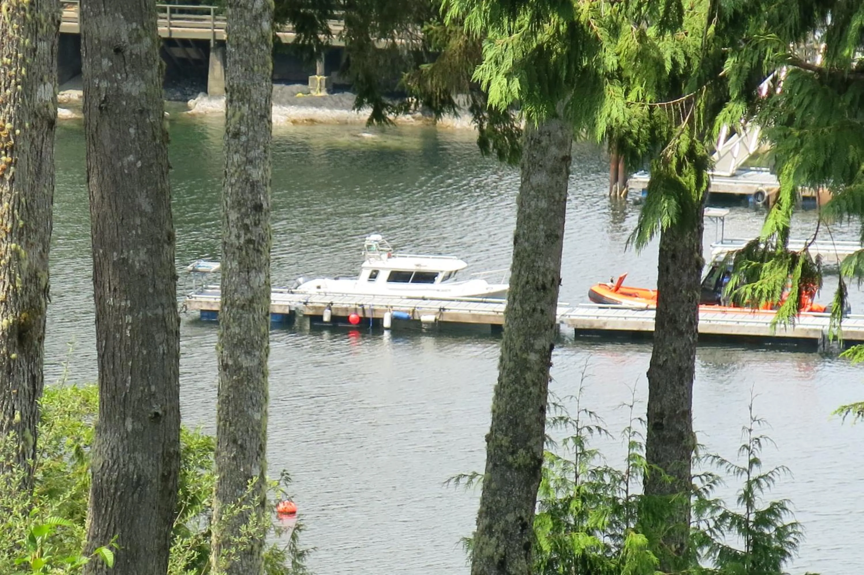 Natural landscape in A Shack In The Woods
