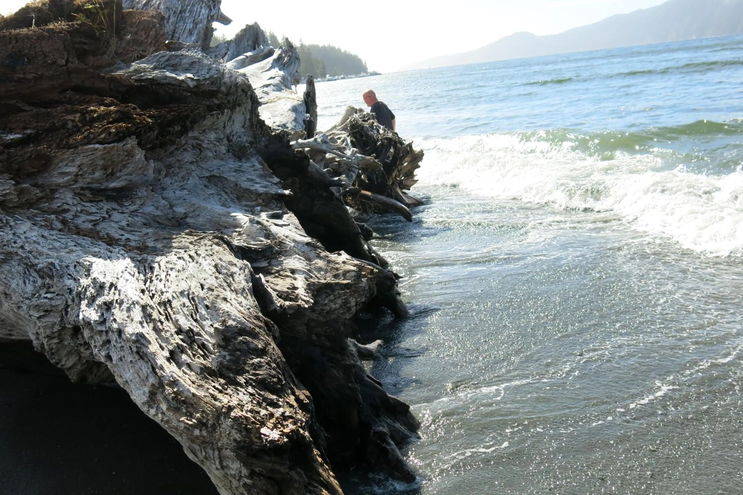 Sea view in A Shack In The Woods