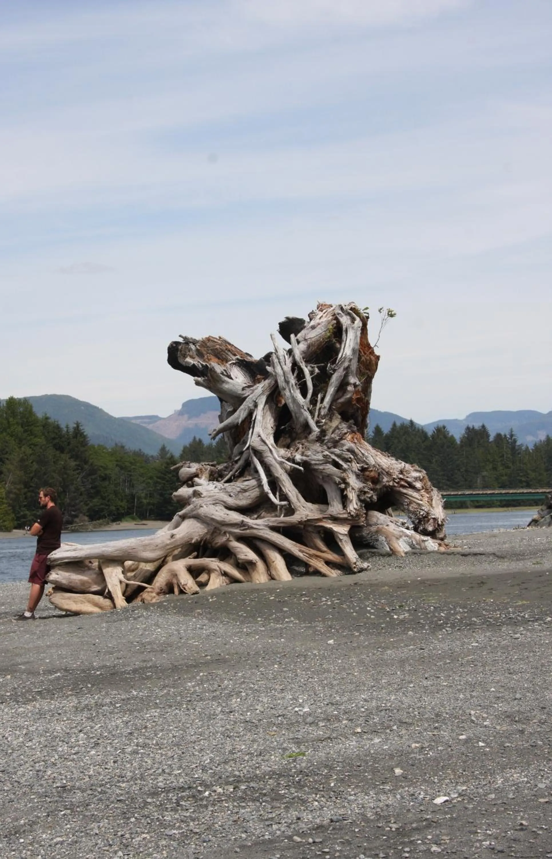 Natural landscape in A Shack In The Woods
