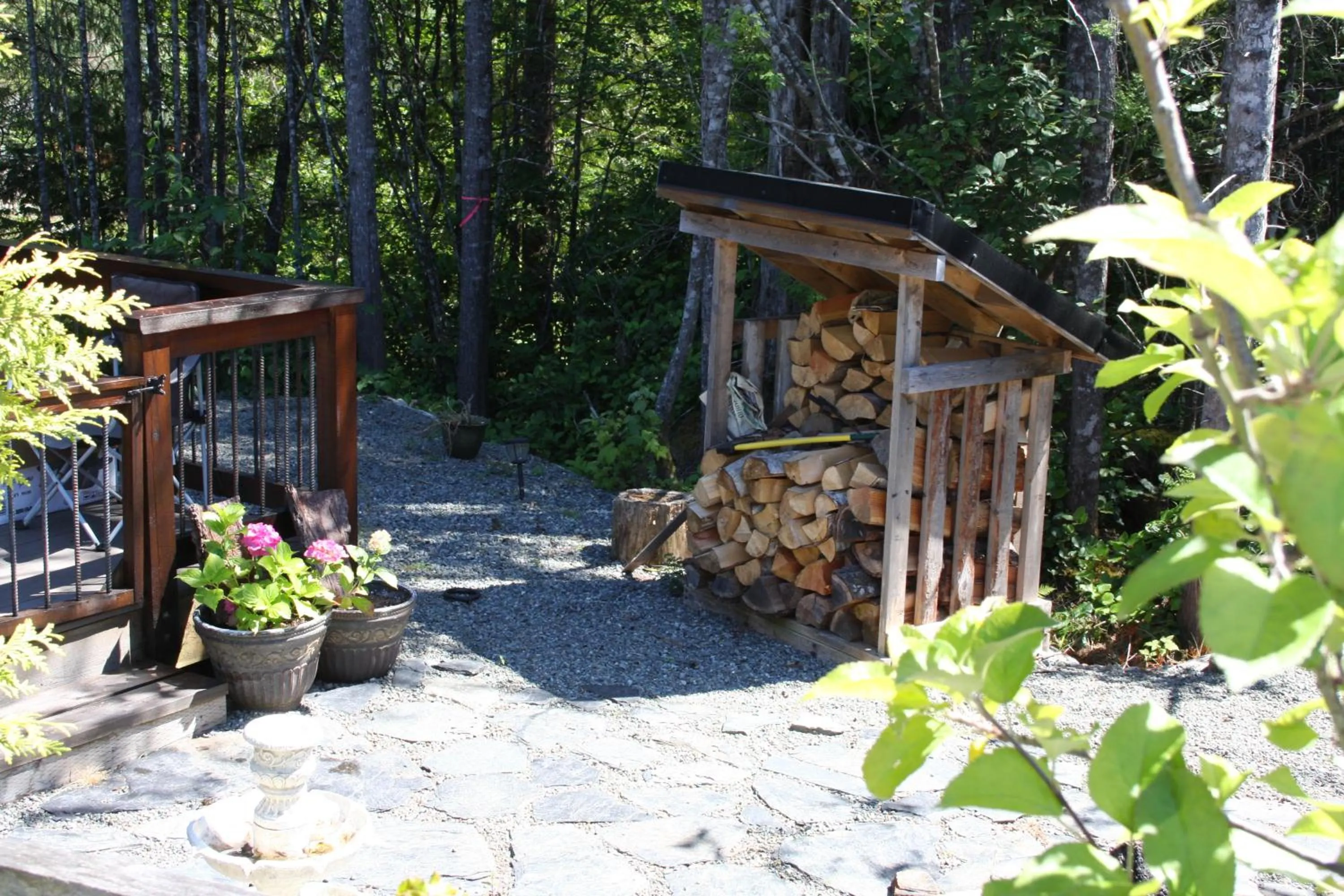 Animals in A Shack In The Woods