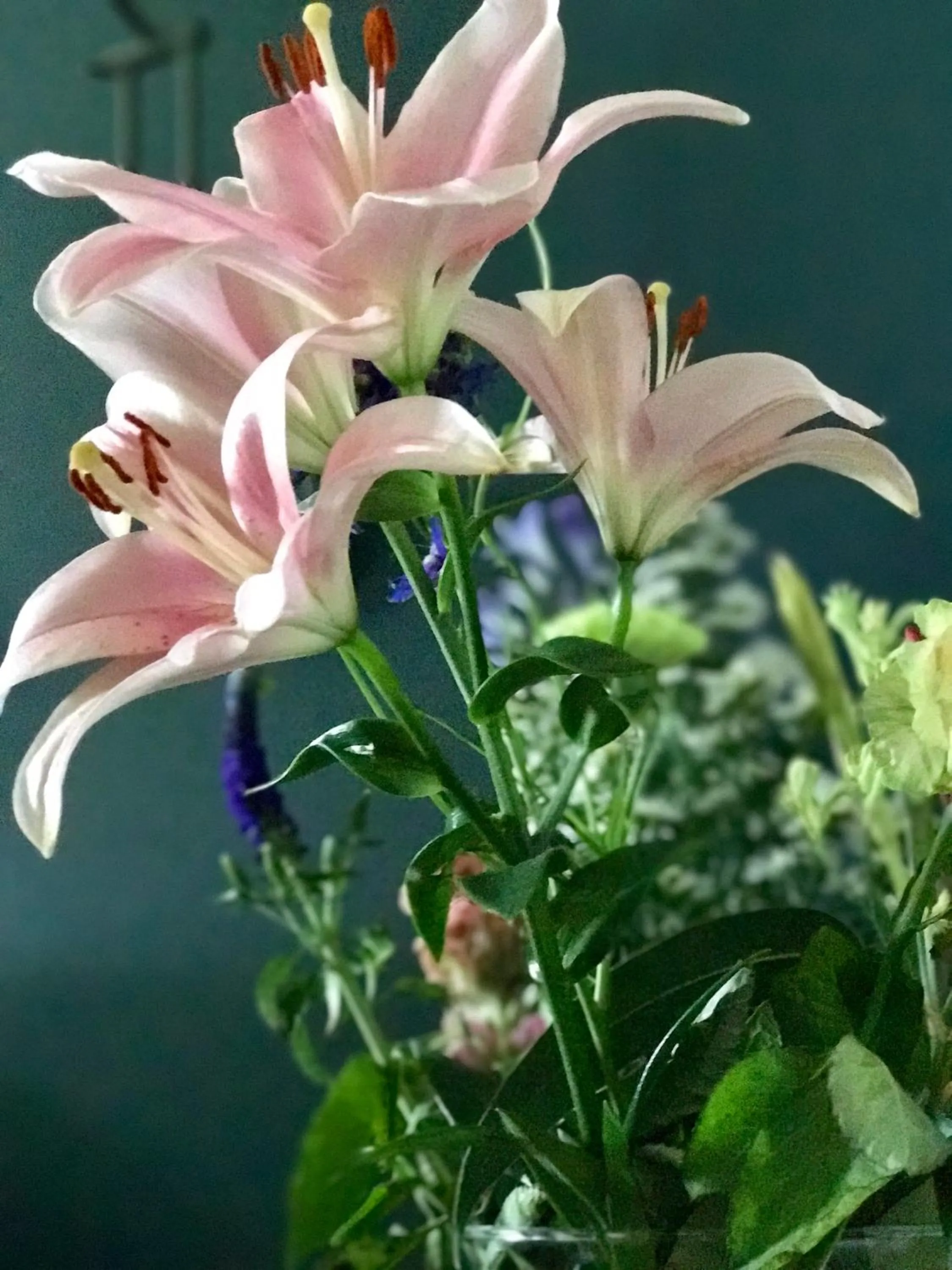 Other in Bed & Breakfast Karakter