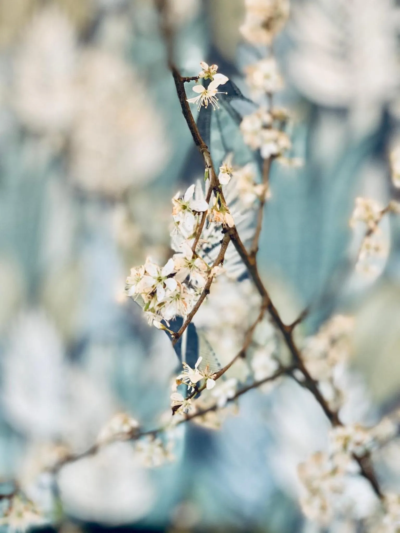 Decorative detail in Bed & Breakfast Karakter