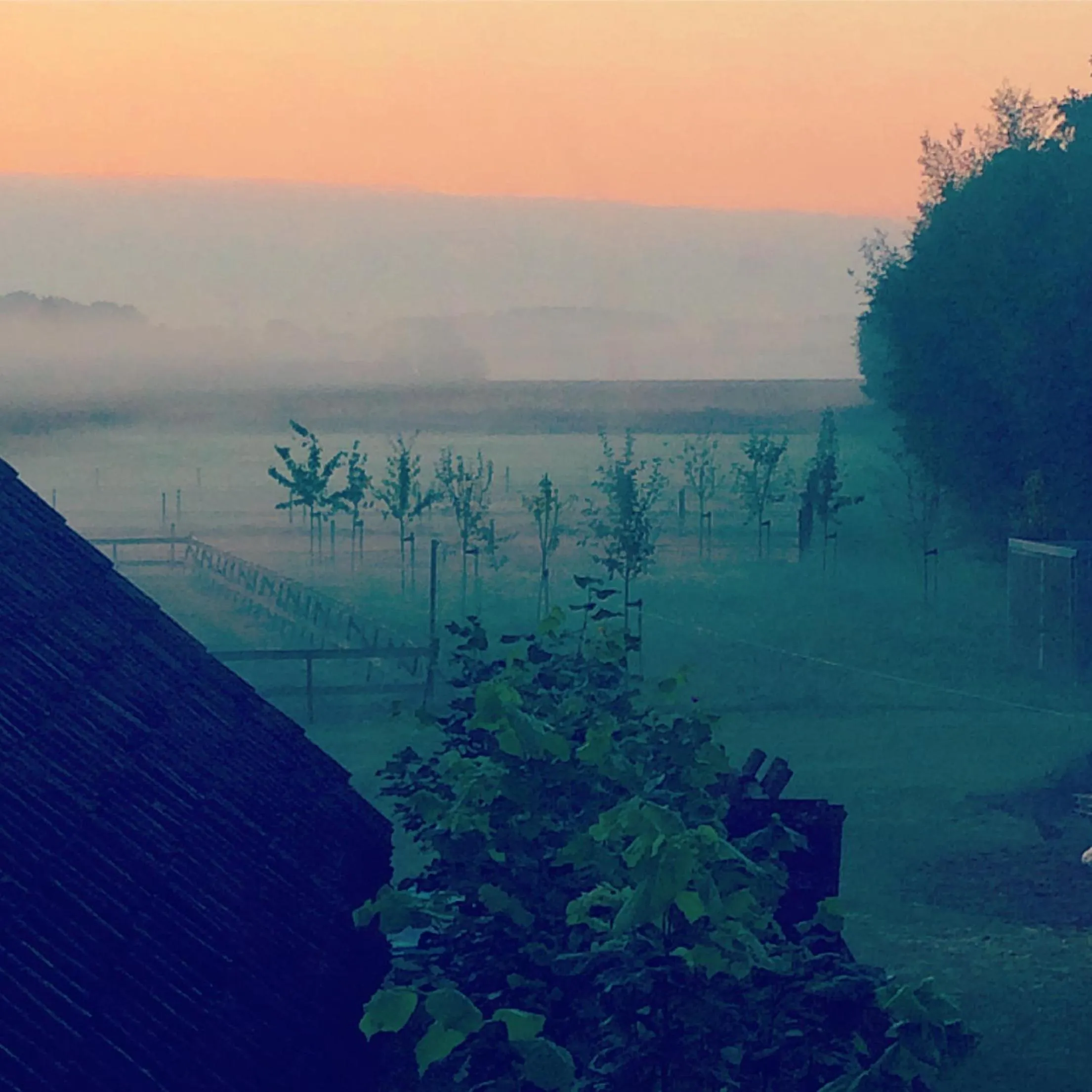 Garden in Bed & Breakfast Karakter