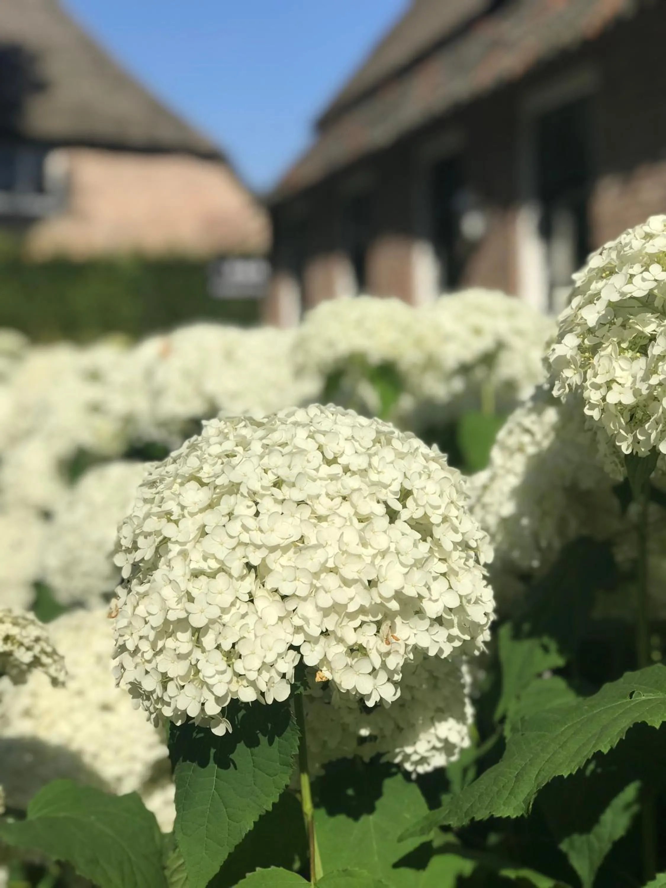 Facade/entrance in Bed & Breakfast Karakter